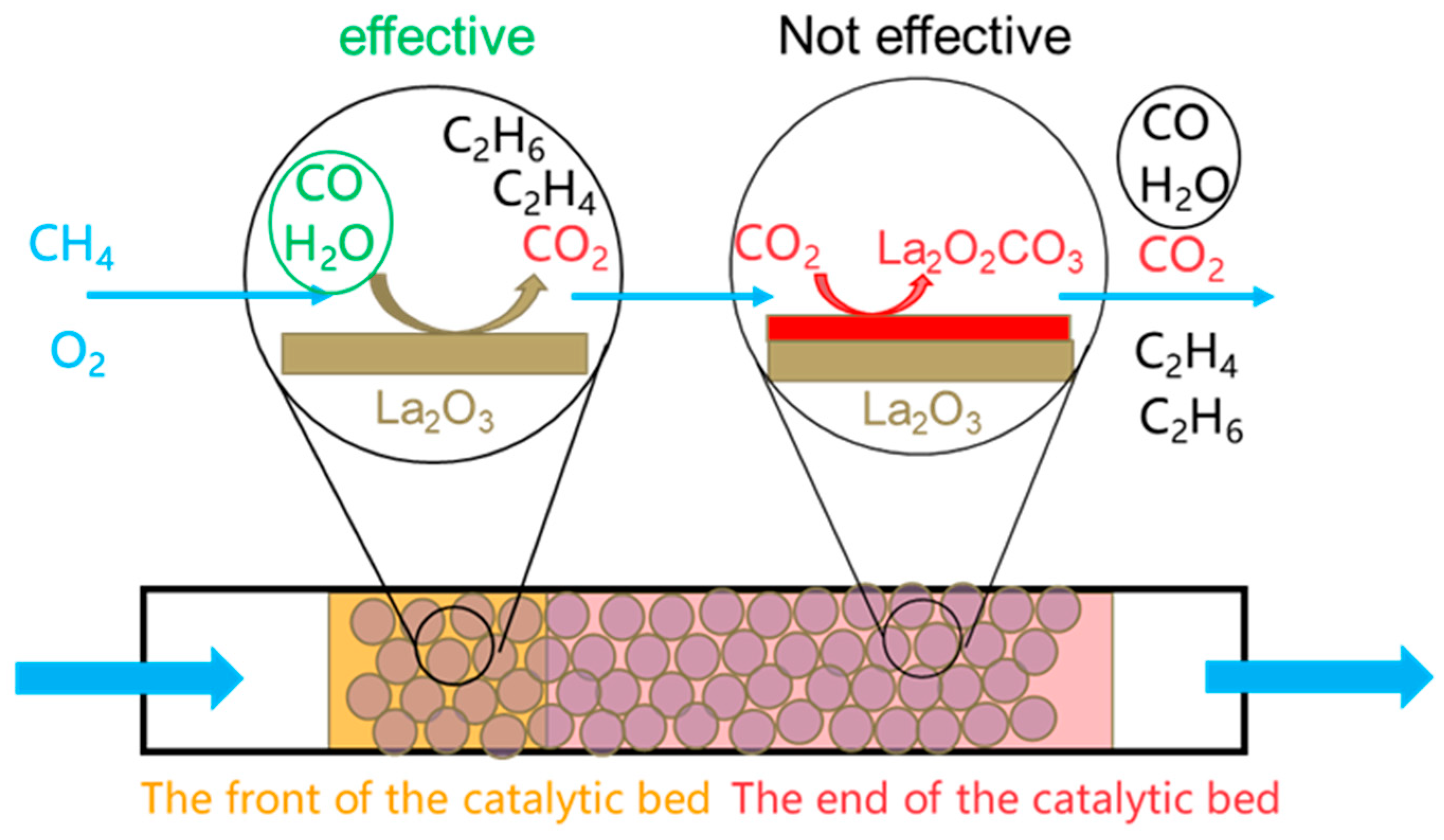 Catalysts 15 00499 sch001