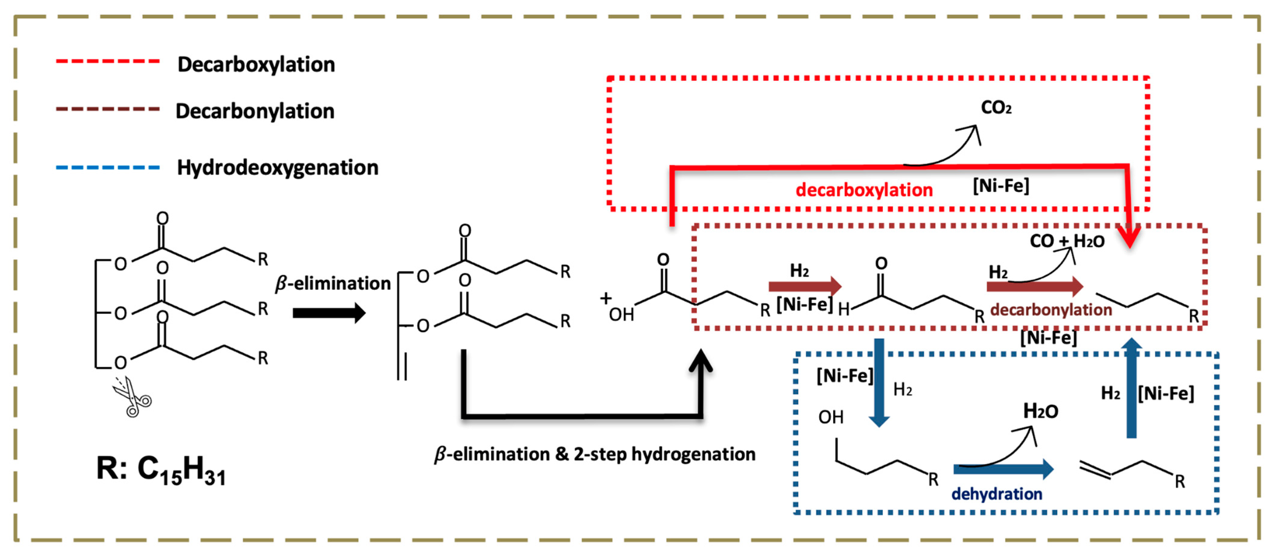 Catalysts 15 00501 sch001