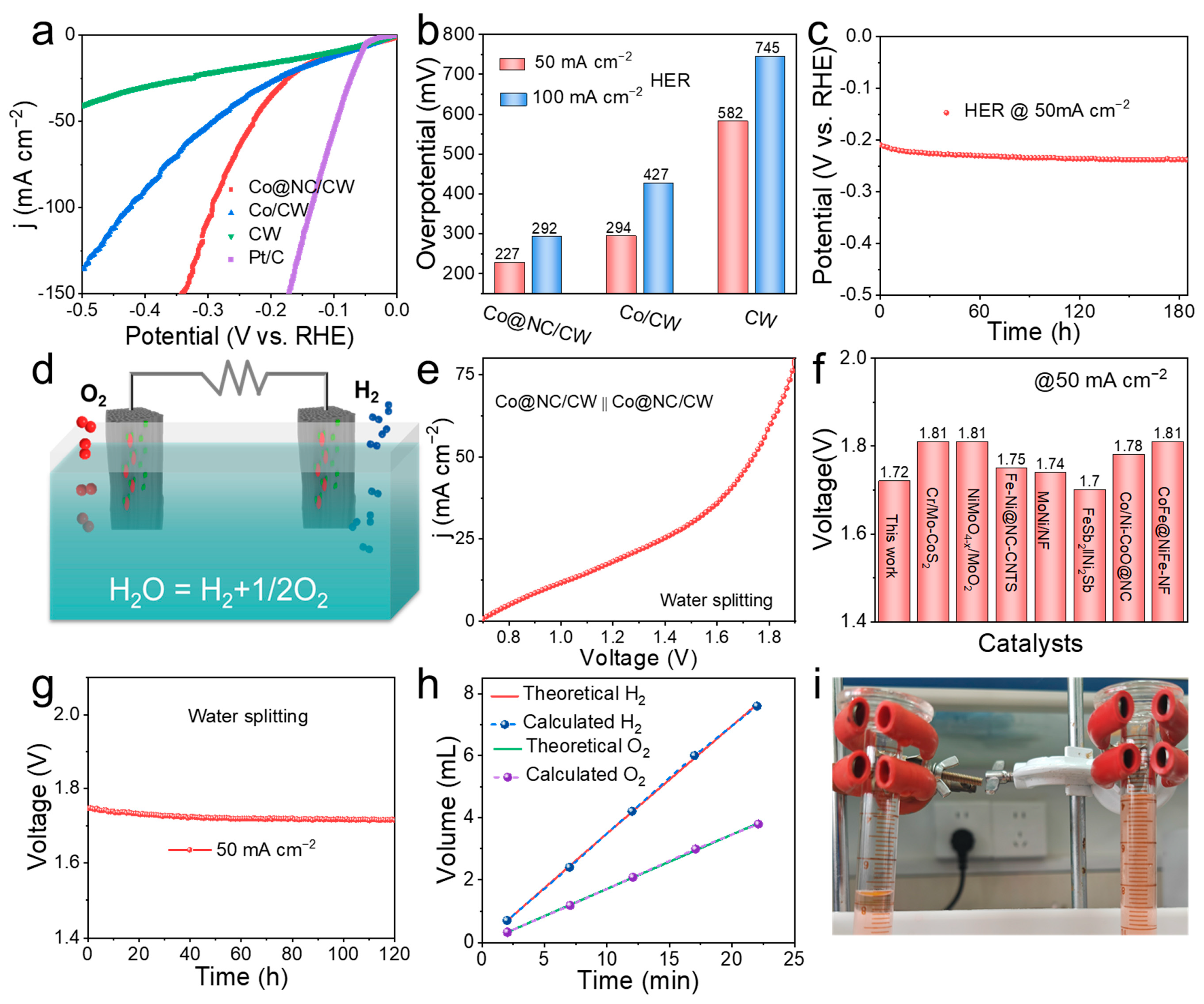 Catalysts 15 00503 g005