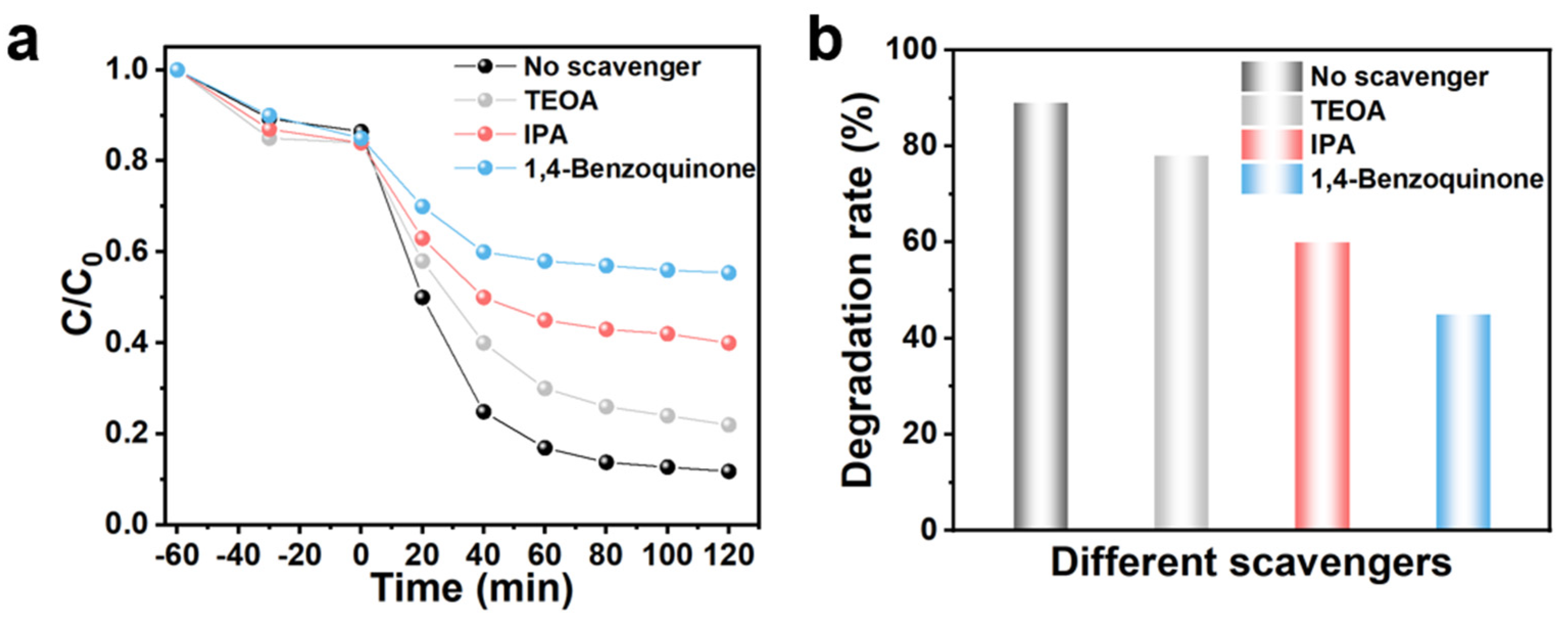 Catalysts 15 00504 g005