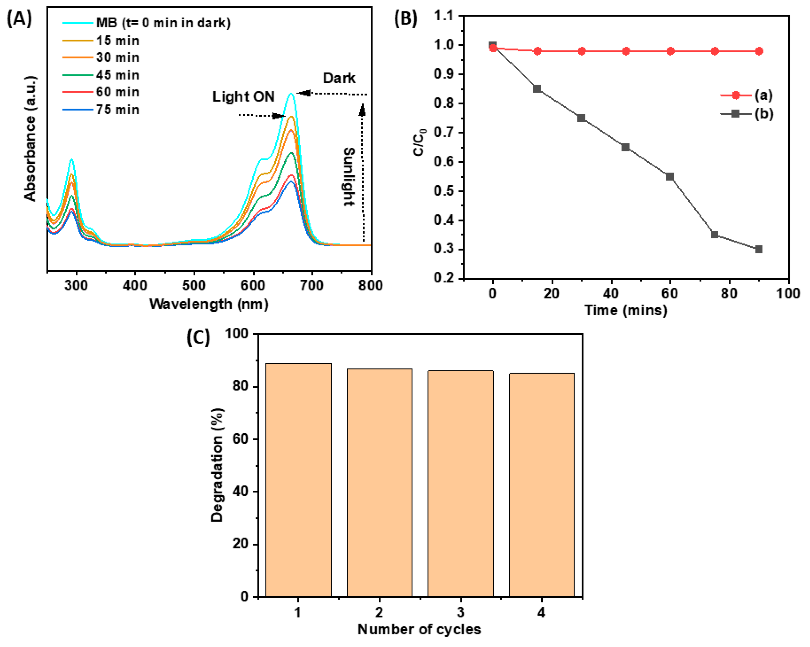 Catalysts 15 00505 g005 Catalysts 15 00505 g005