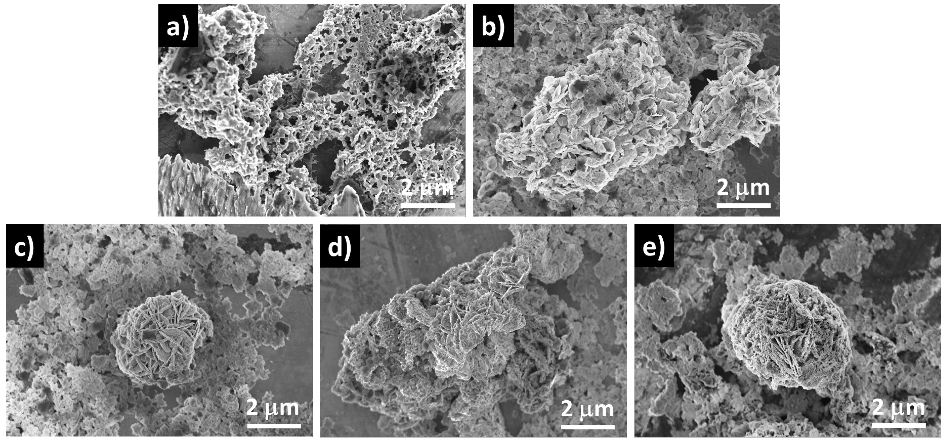 Catalysts 15 00508 g004