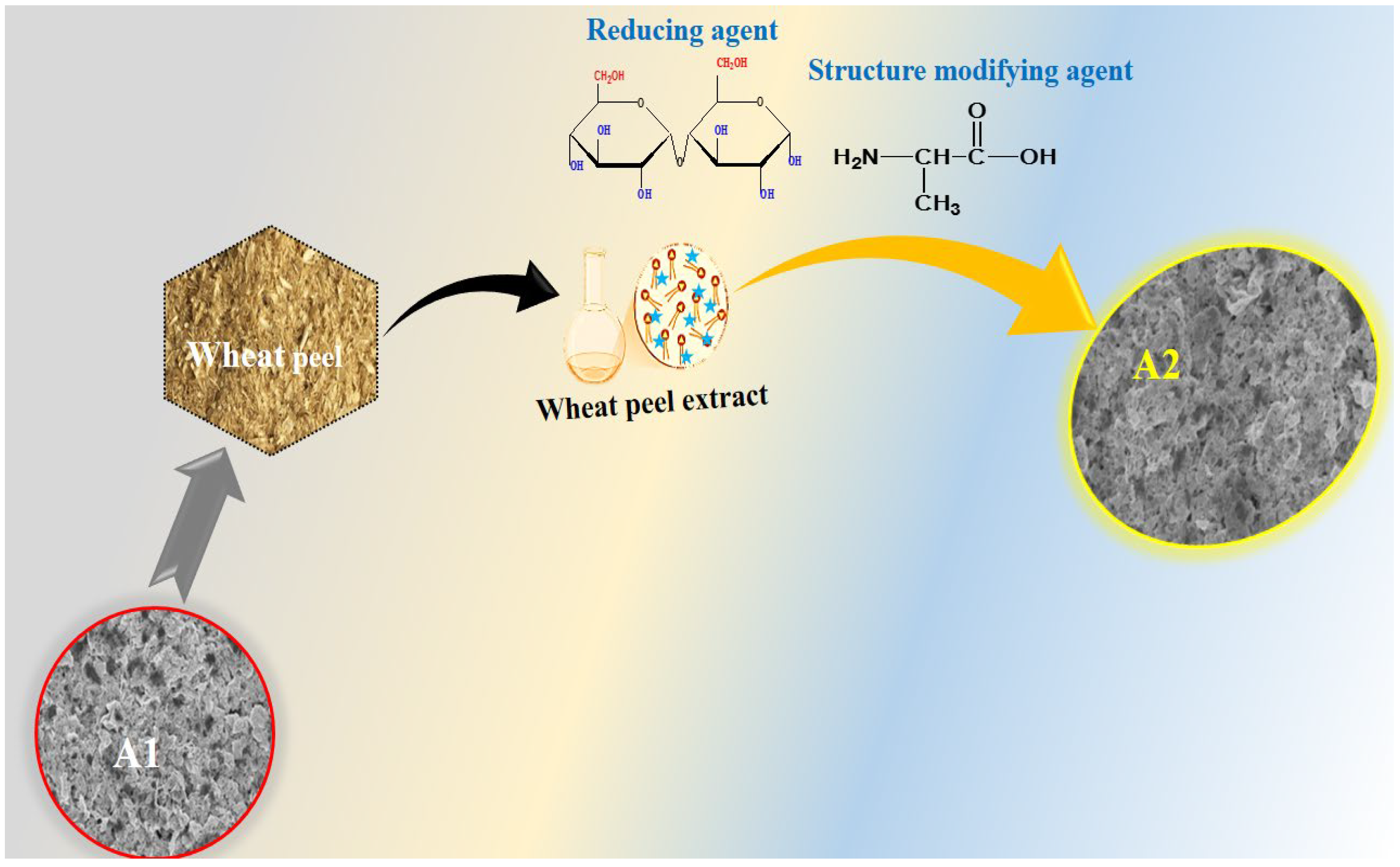 Catalysts 15 00508 sch002