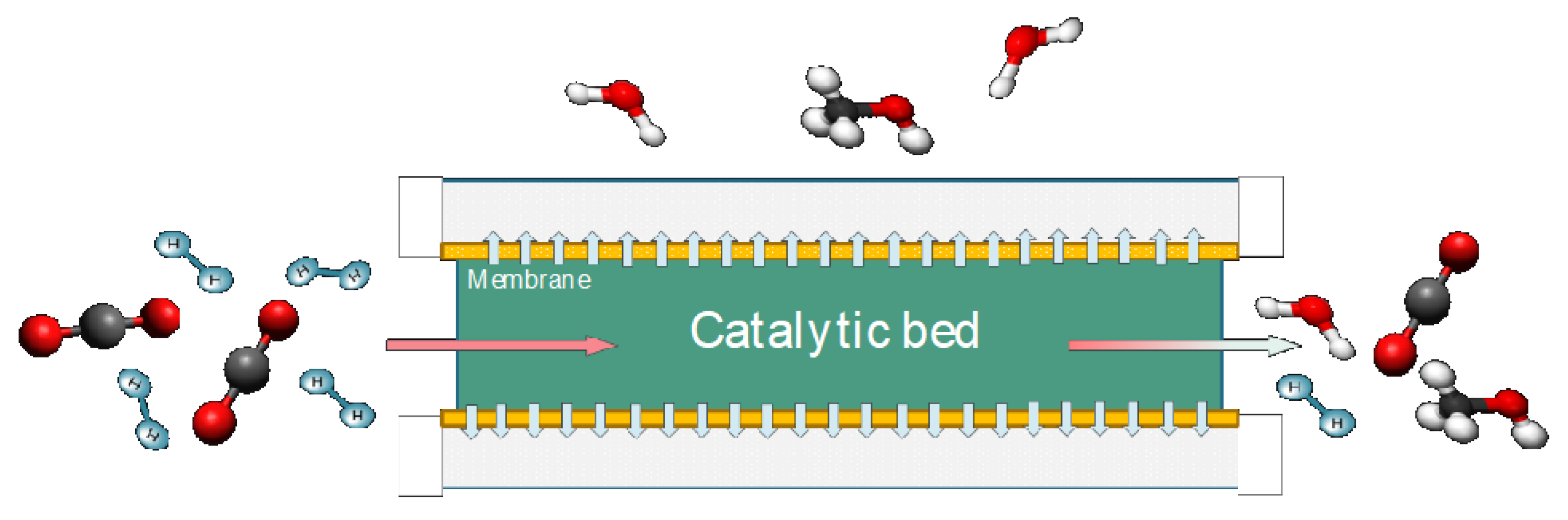 Catalysts 15 00509 g002 Catalysts 15 00509 g002
