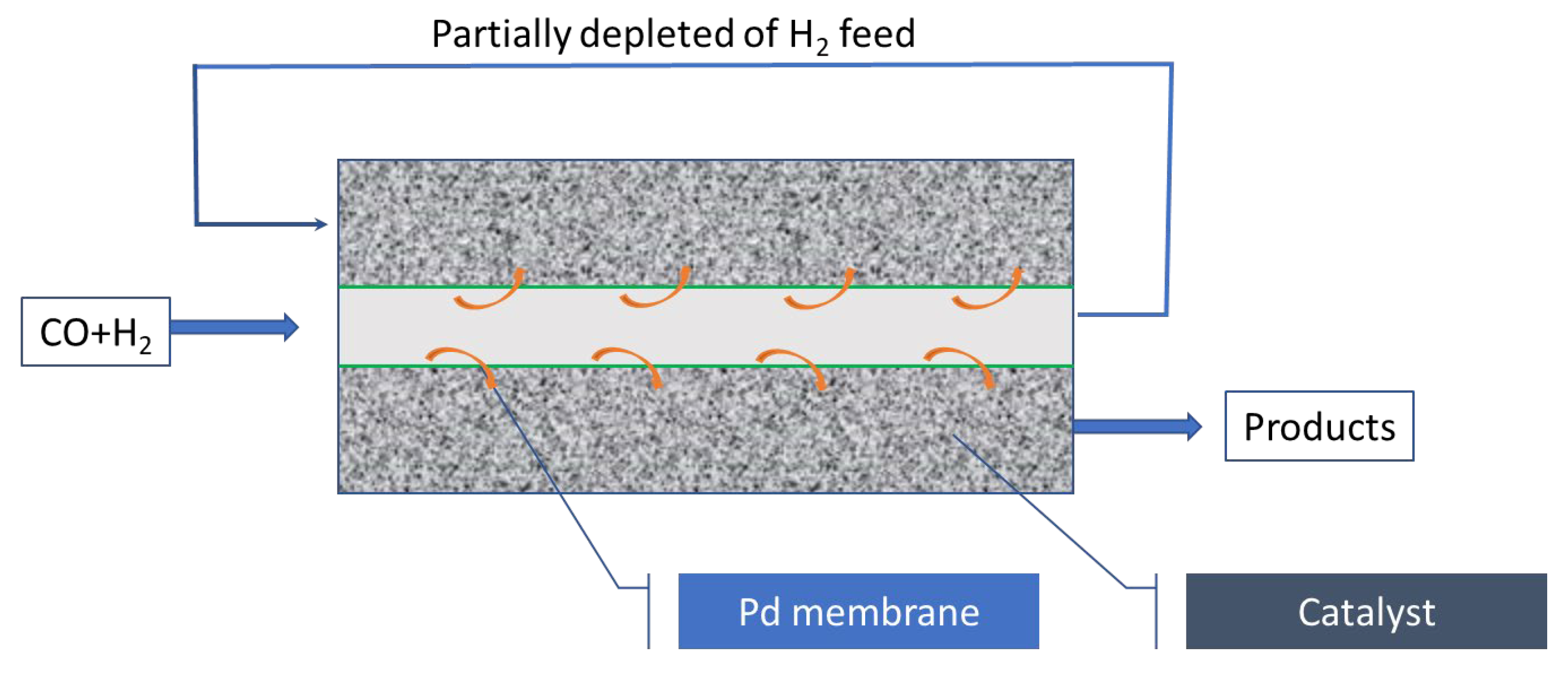 Catalysts 15 00509 g003 Catalysts 15 00509 g003