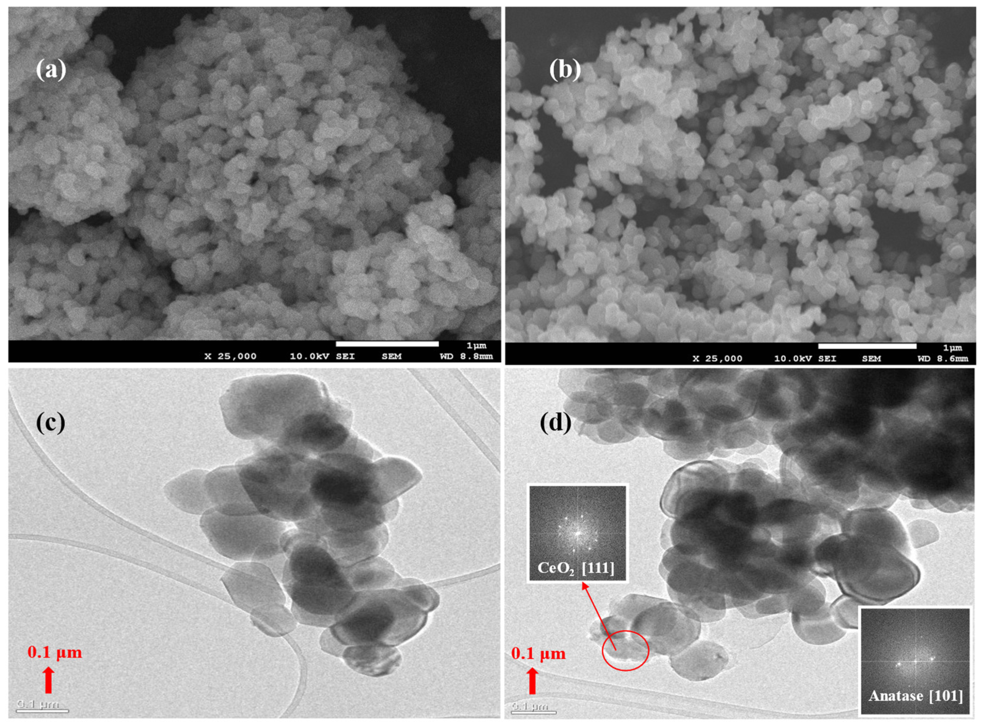 Catalysts 15 00512 g002