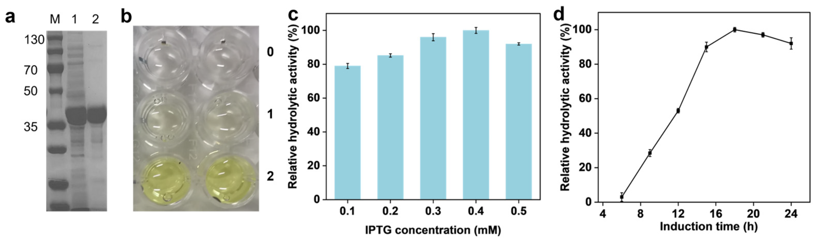 Catalysts 15 00514 g001