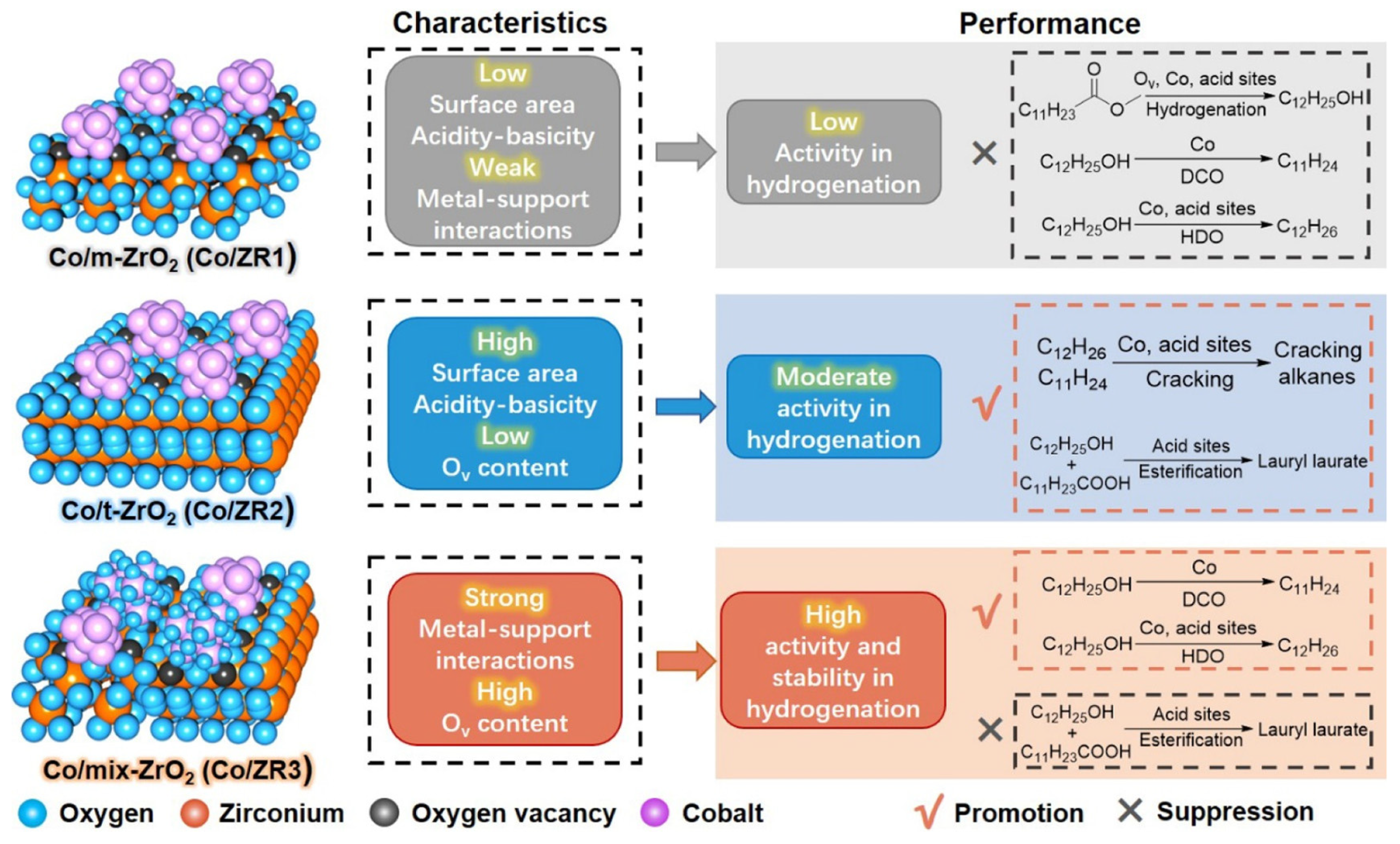 Catalysts 15 00518 g002