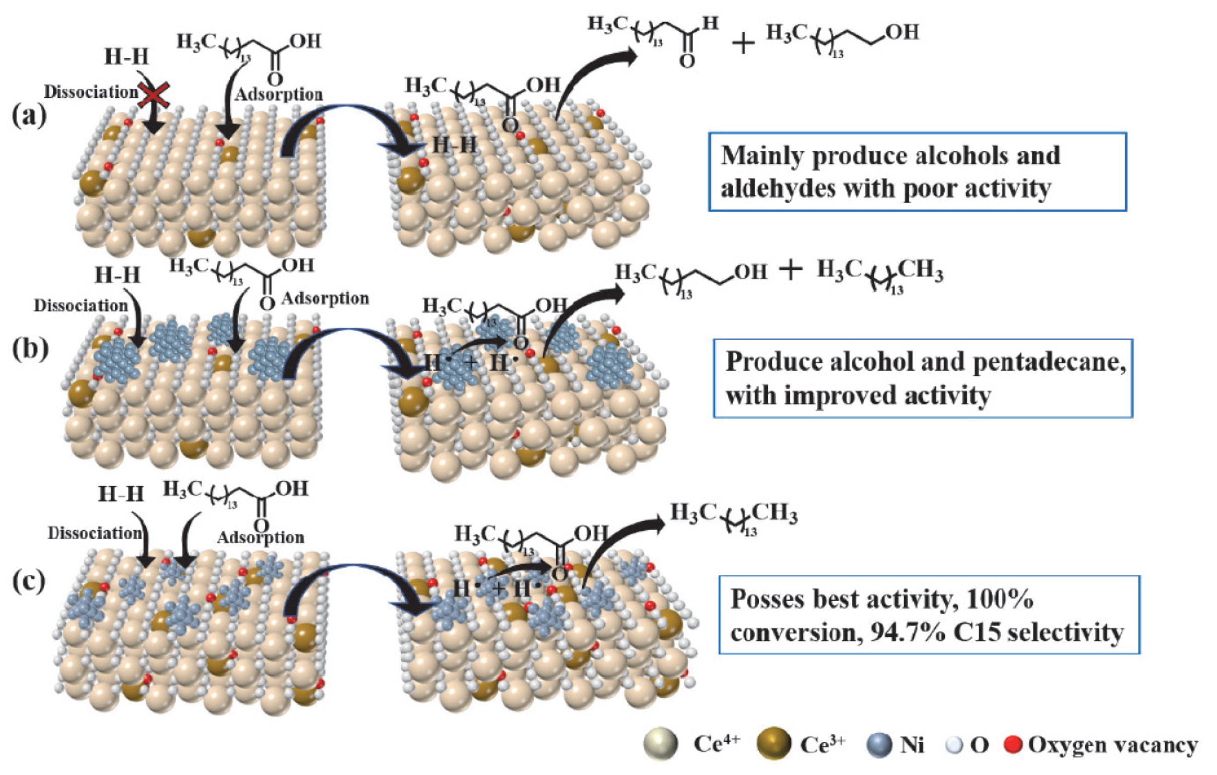 Catalysts 15 00518 g003