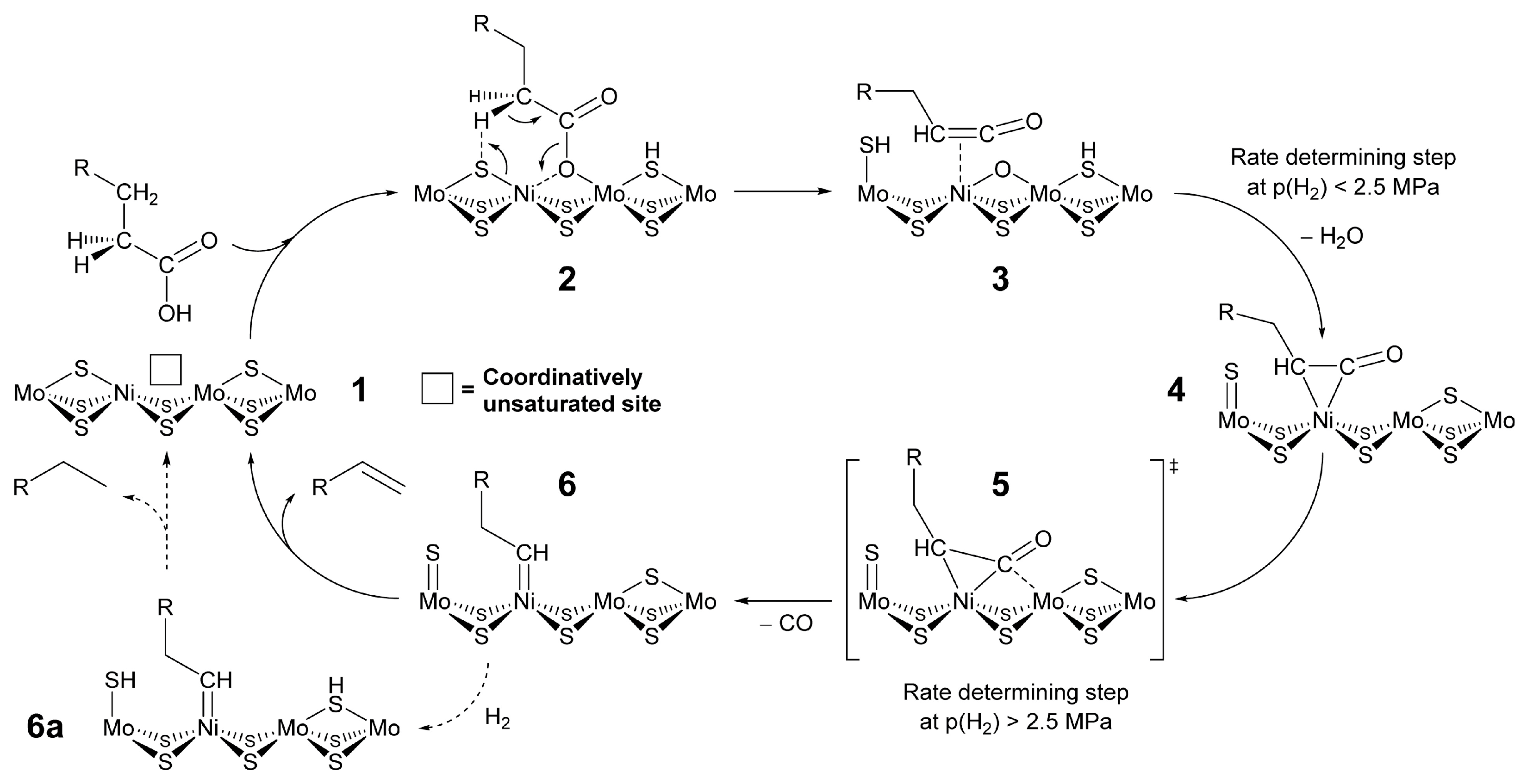 Catalysts 15 00518 g005