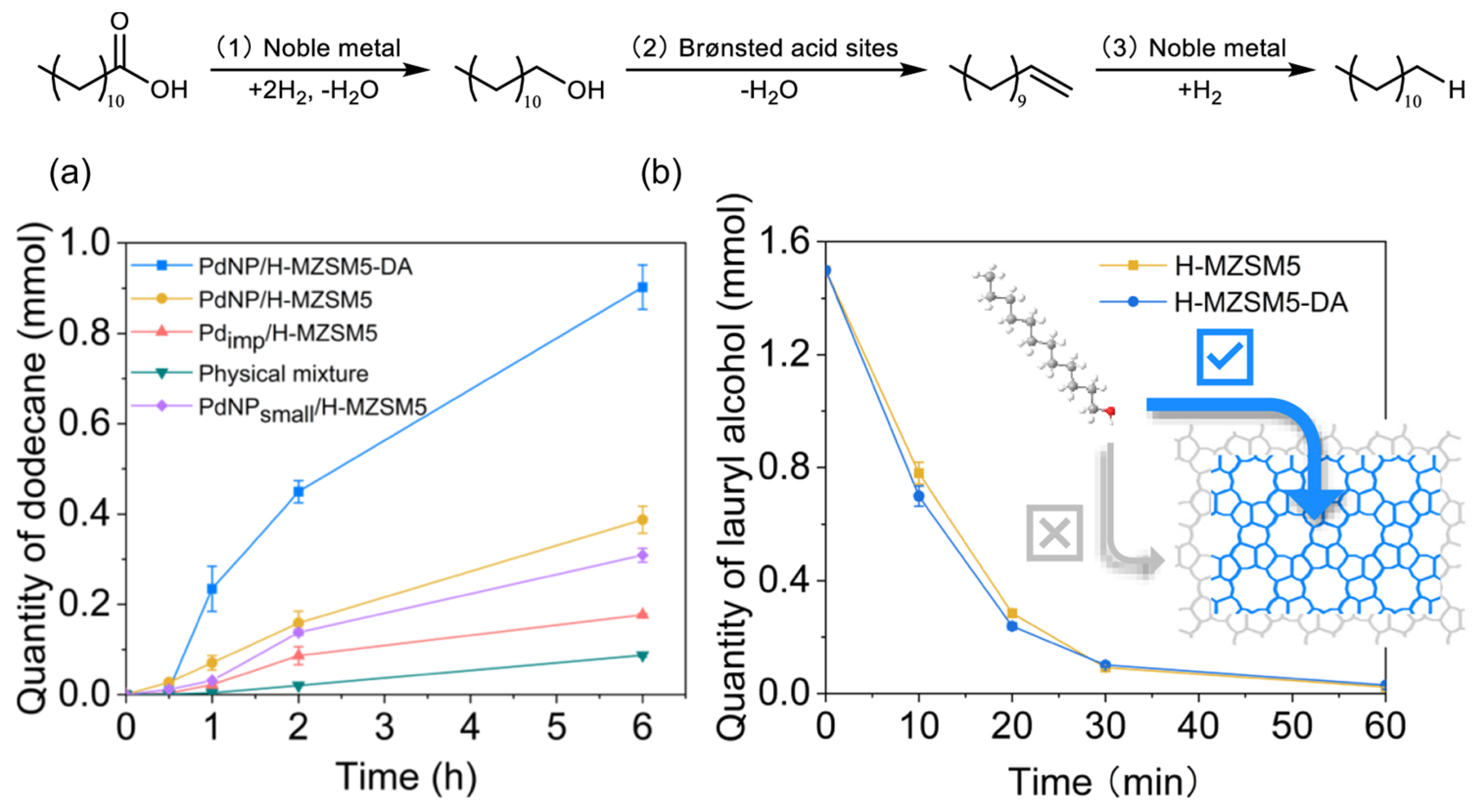 Catalysts 15 00518 g006