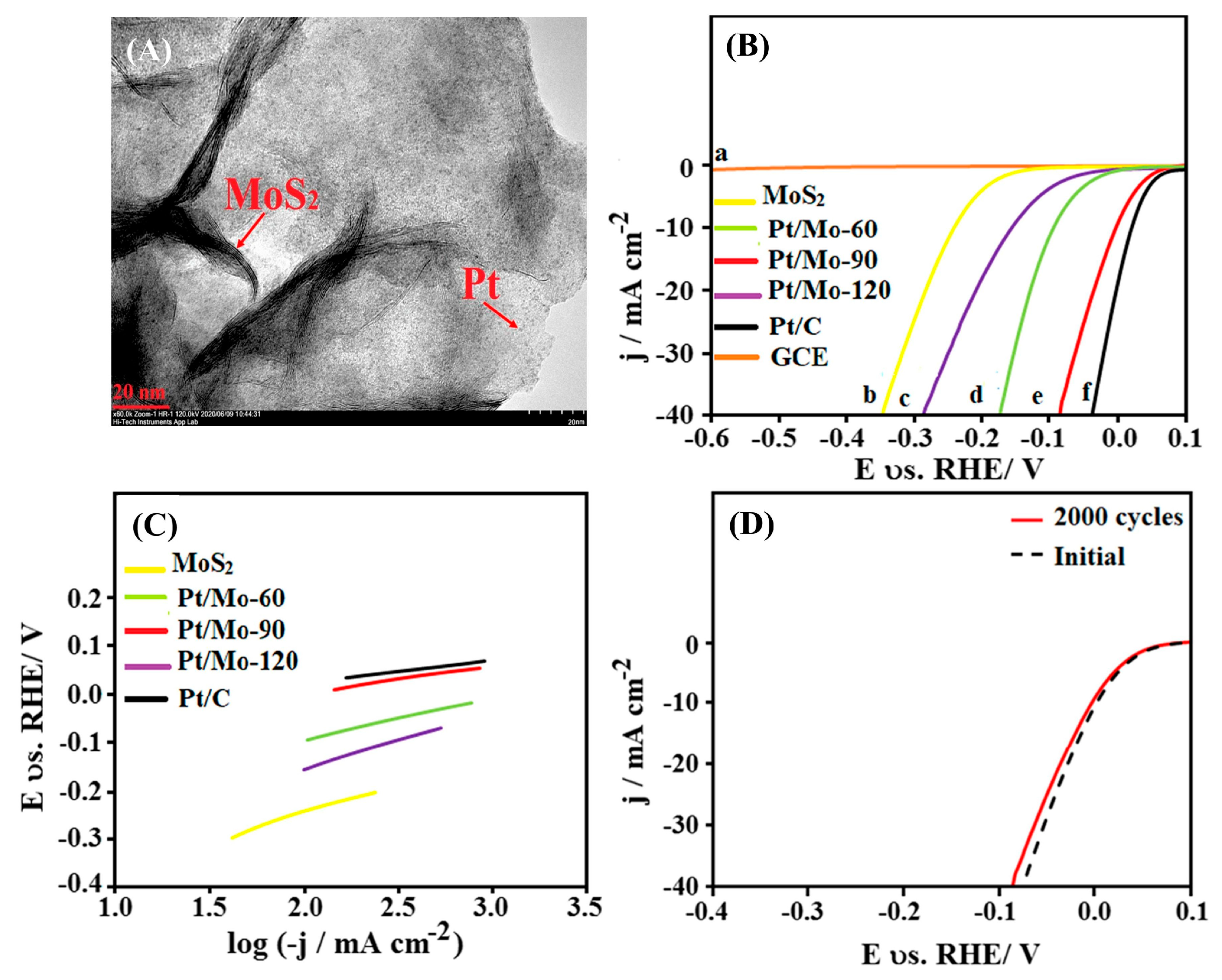 Catalysts 15 00520 g002