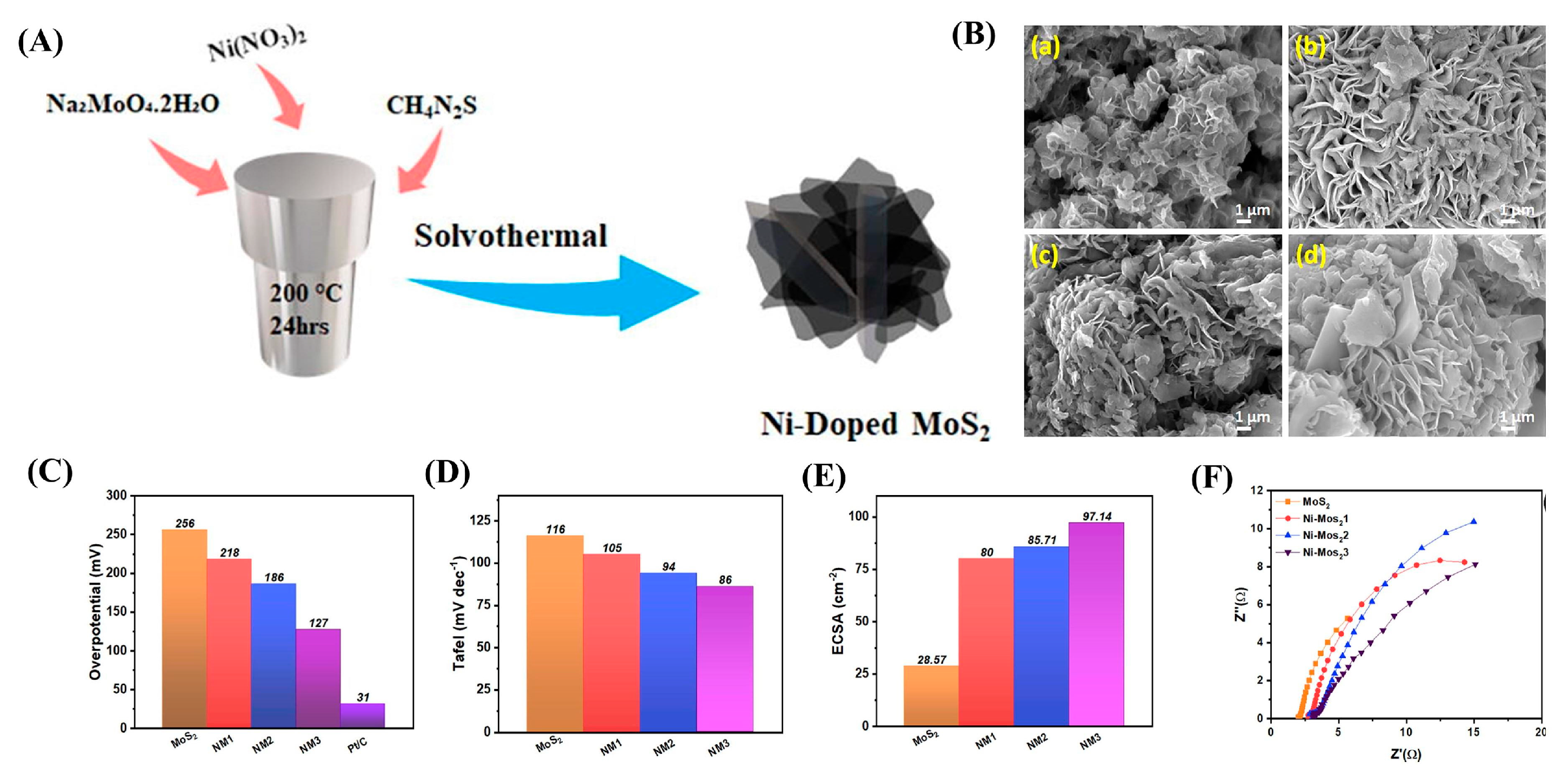 Catalysts 15 00520 g004