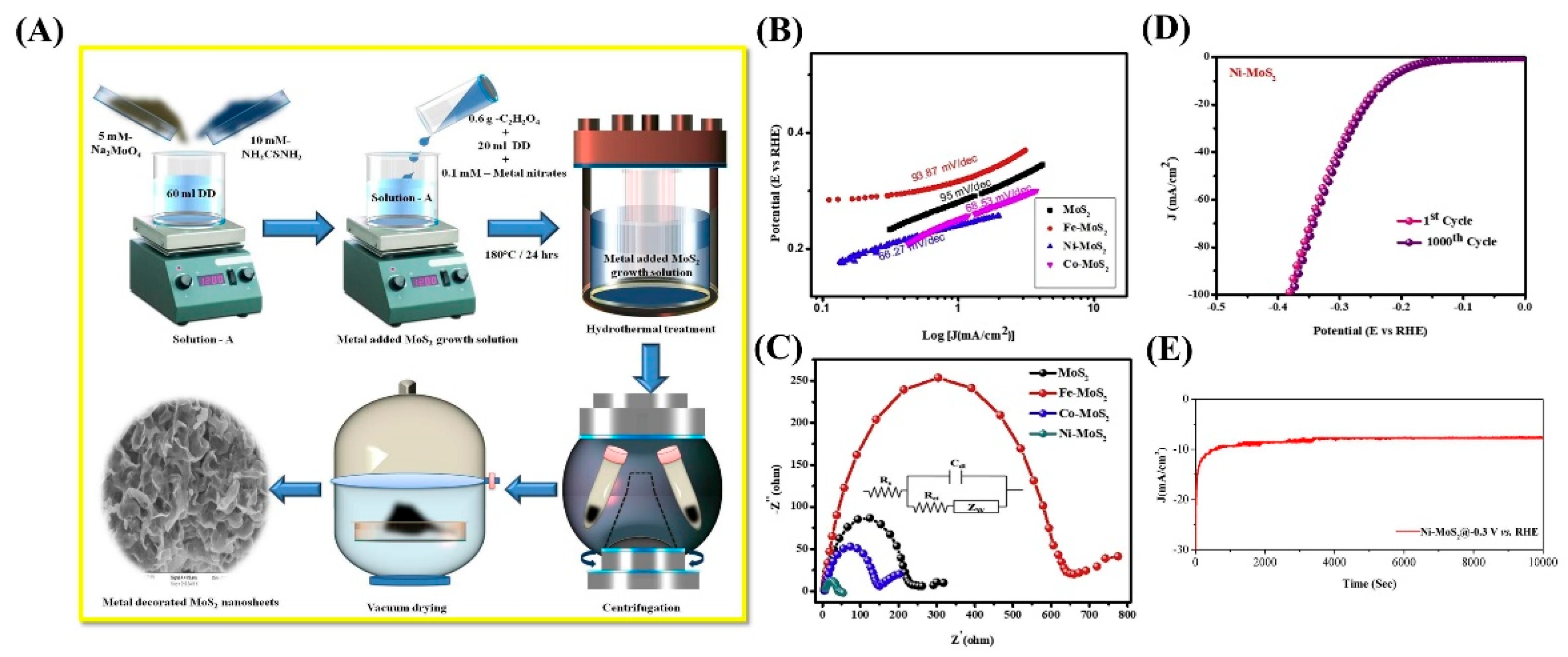Catalysts 15 00520 g005