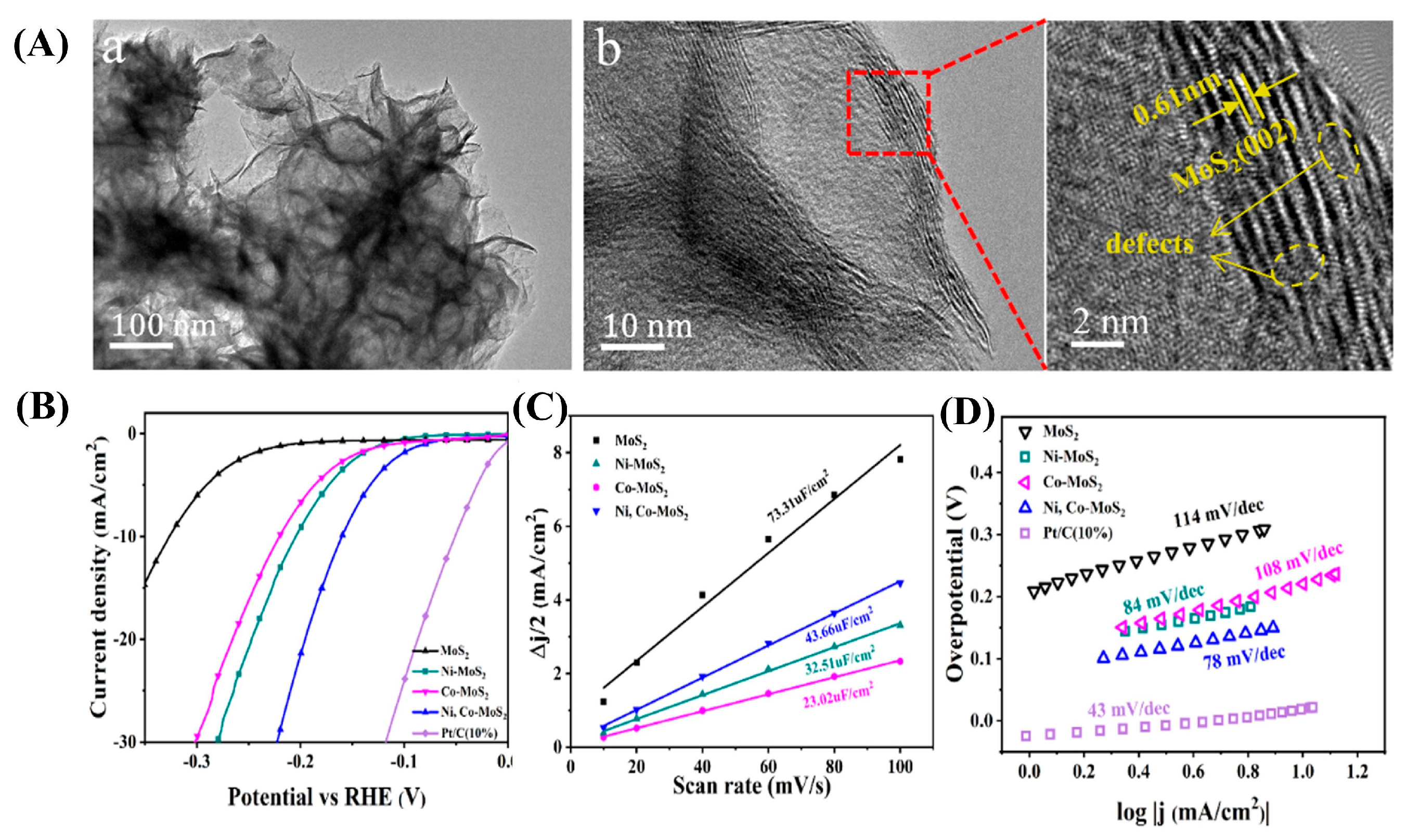 Catalysts 15 00520 g007