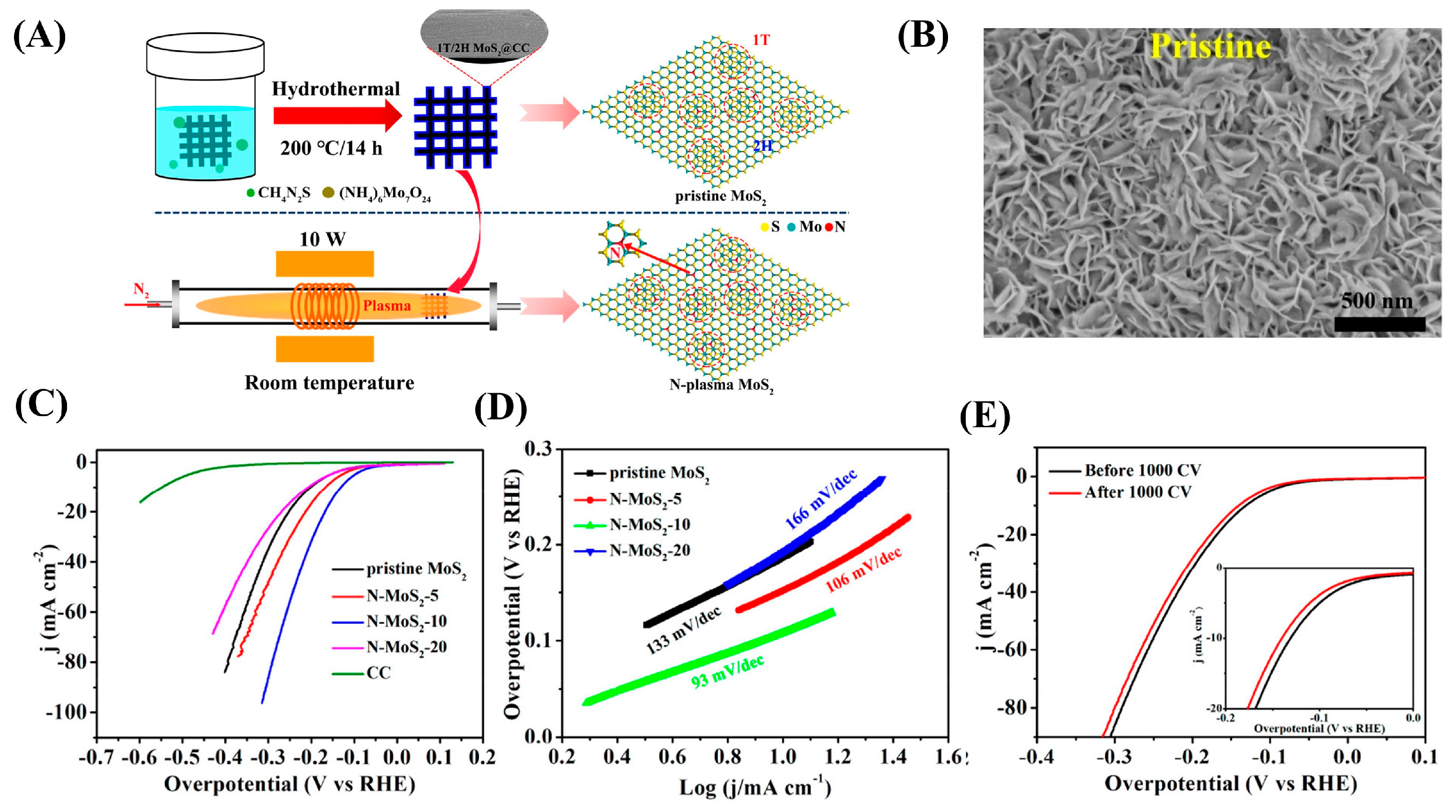 Catalysts 15 00520 g008