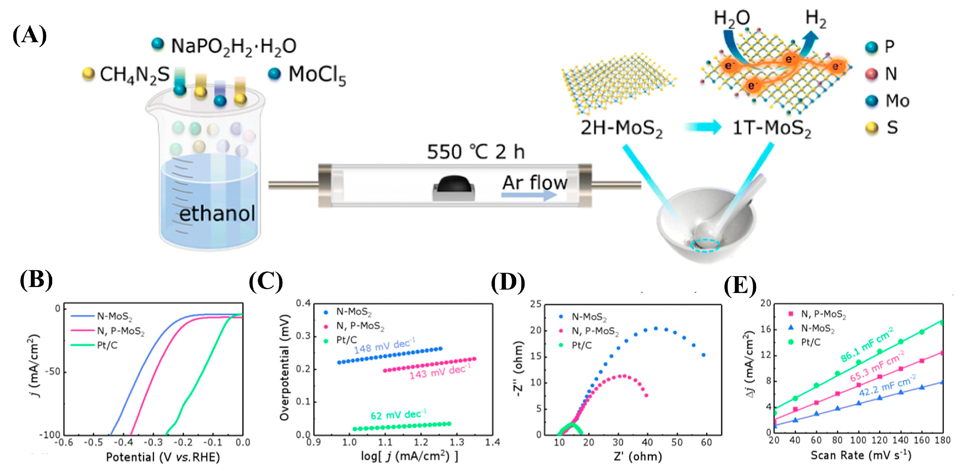 Catalysts 15 00520 g009