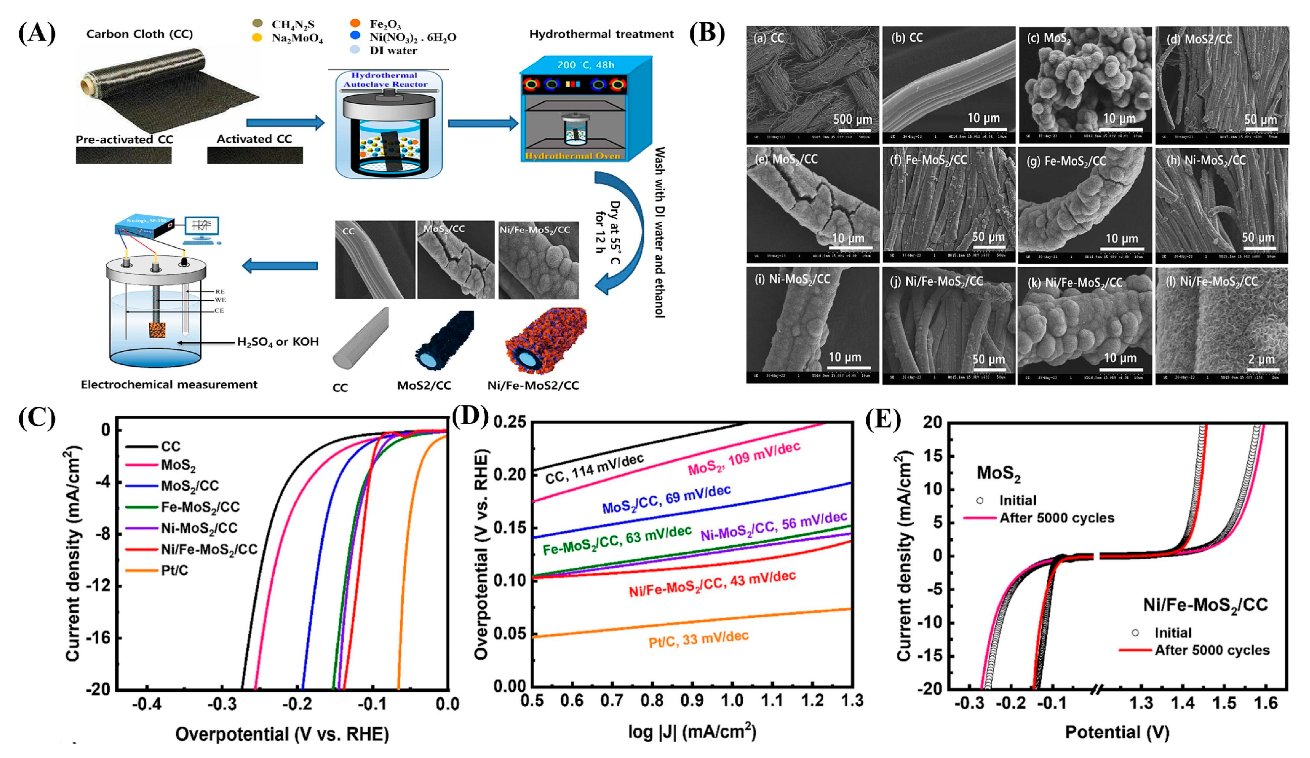 Catalysts 15 00520 g011