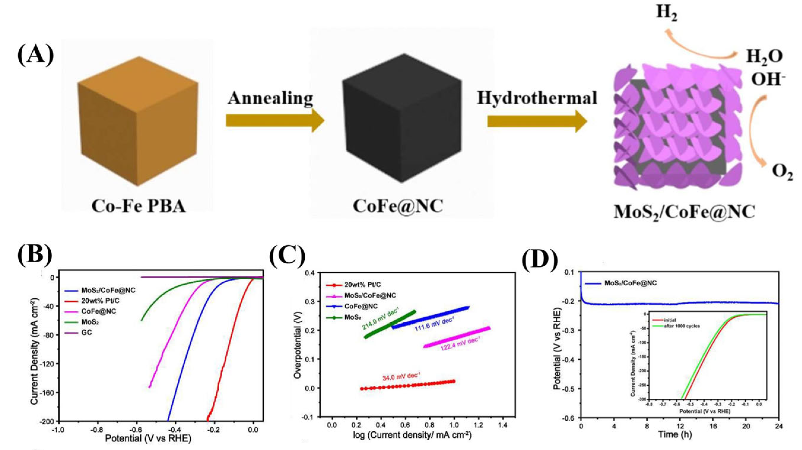 Catalysts 15 00520 g012