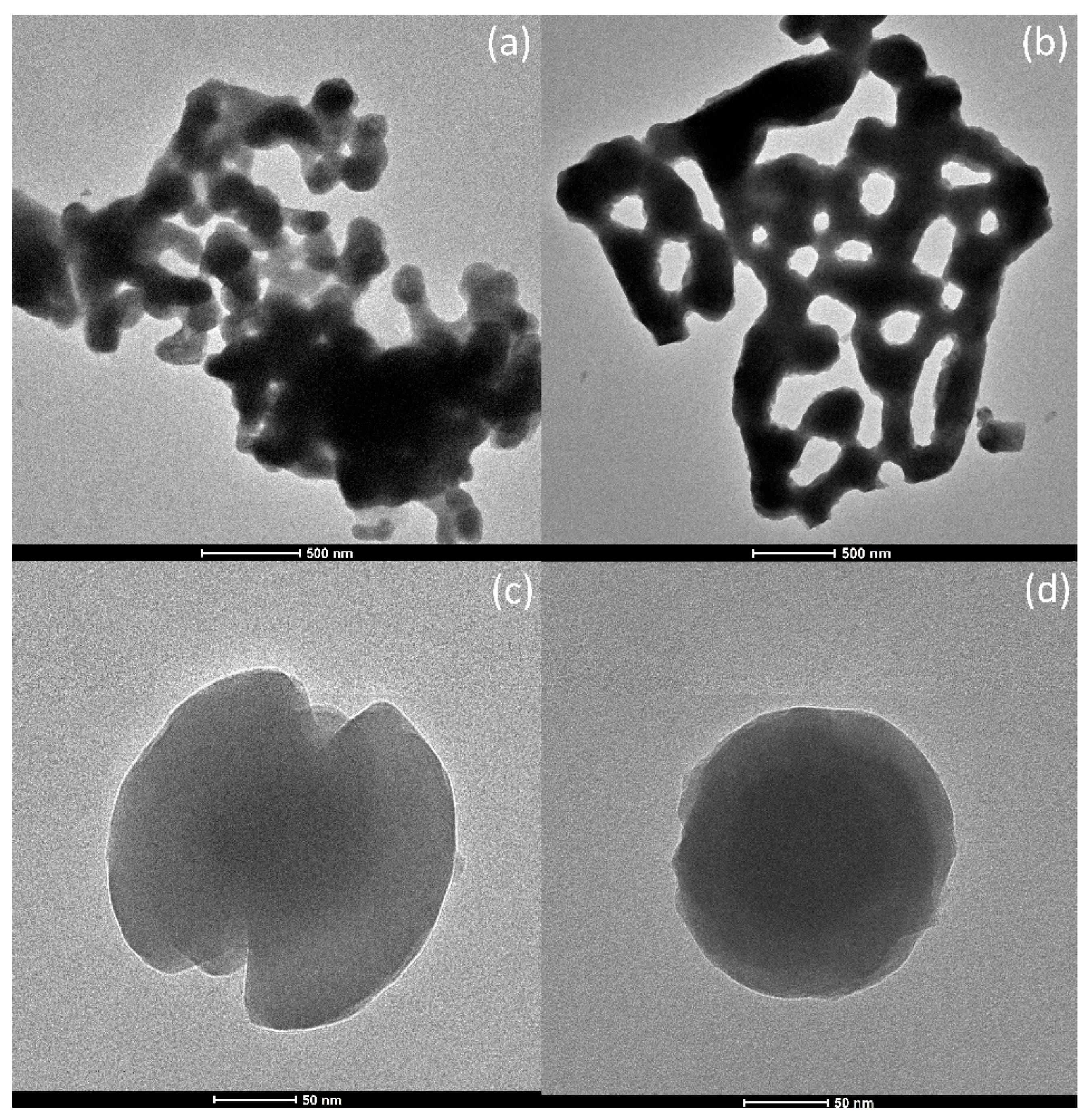 Catalysts 15 00522 g001