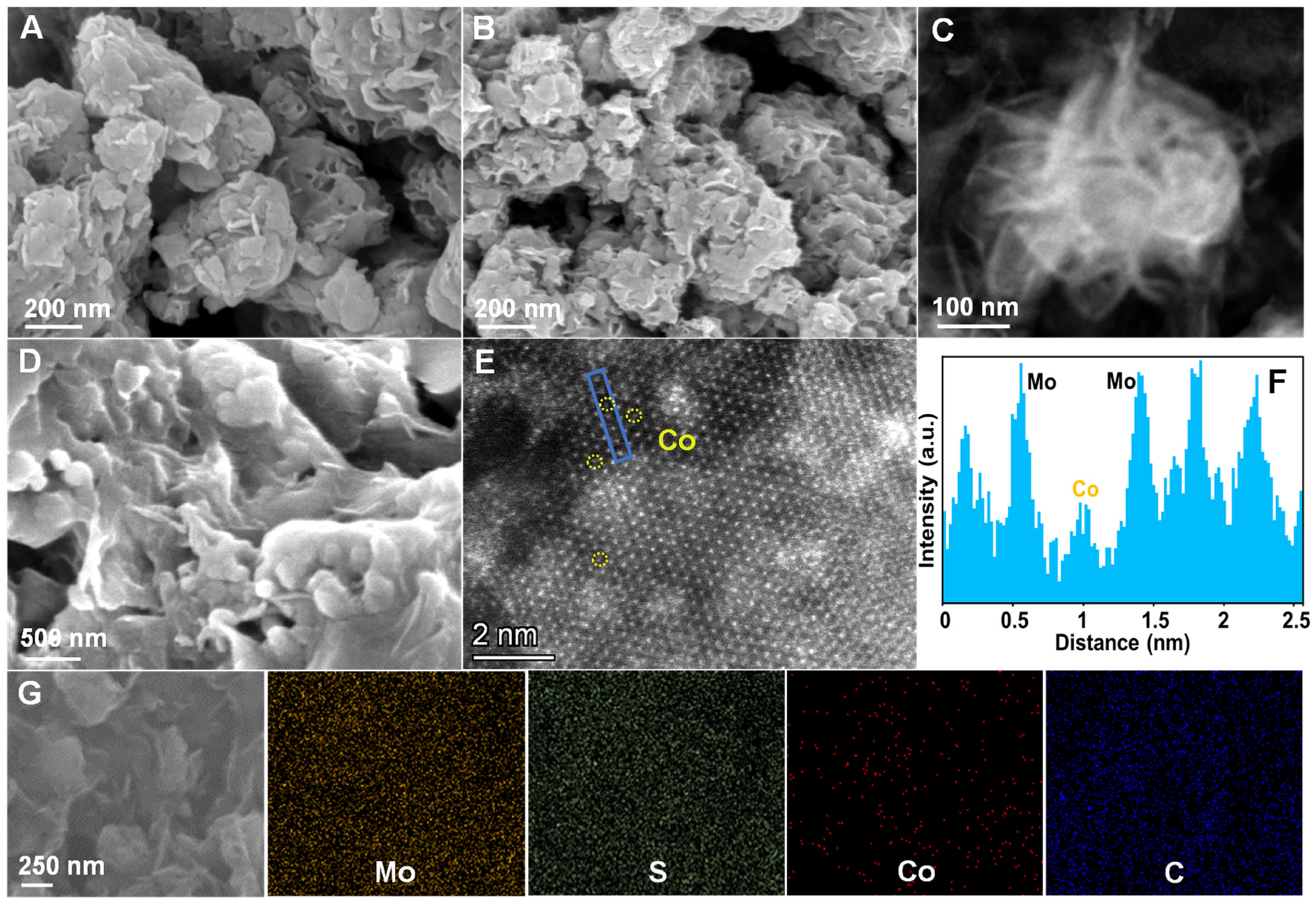 Catalysts 15 00524 g001