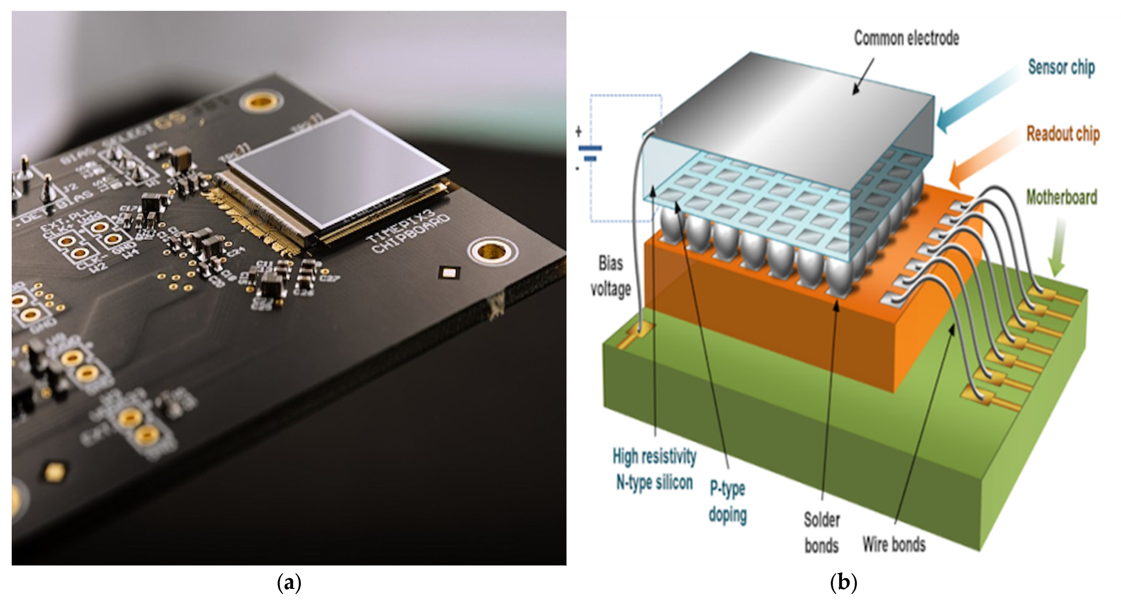 Catalysts 15 00526 g010