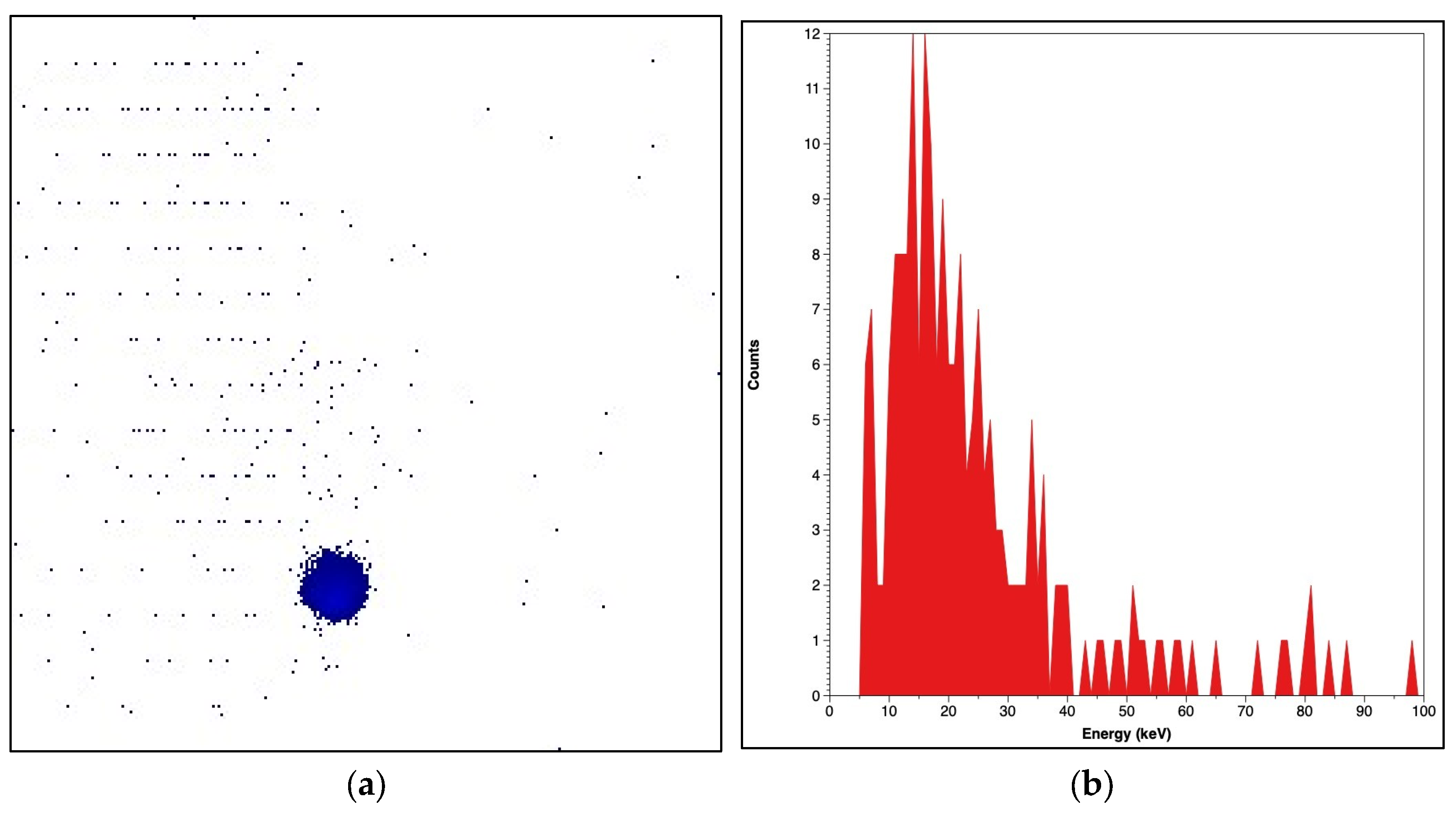 Catalysts 15 00526 g014