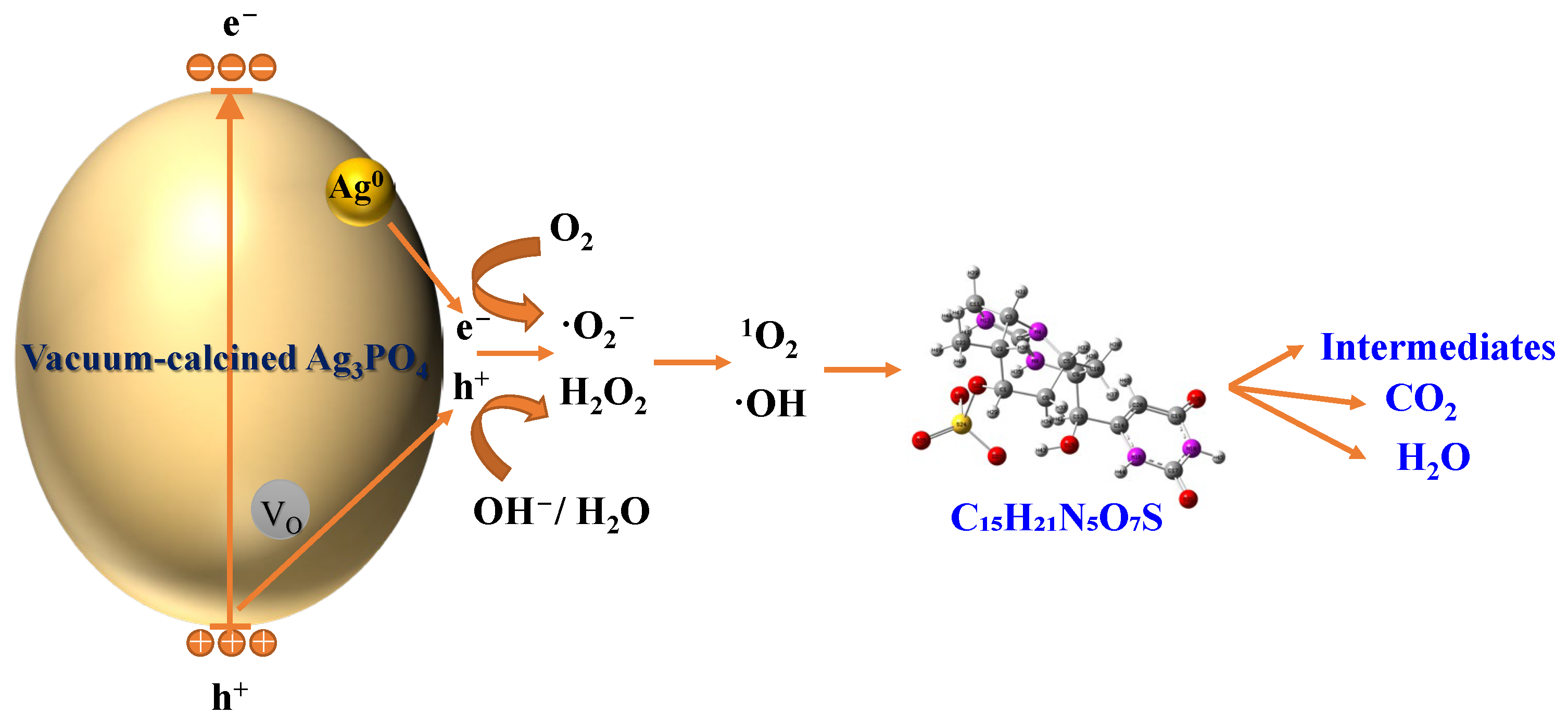 Catalysts 15 00527 g005