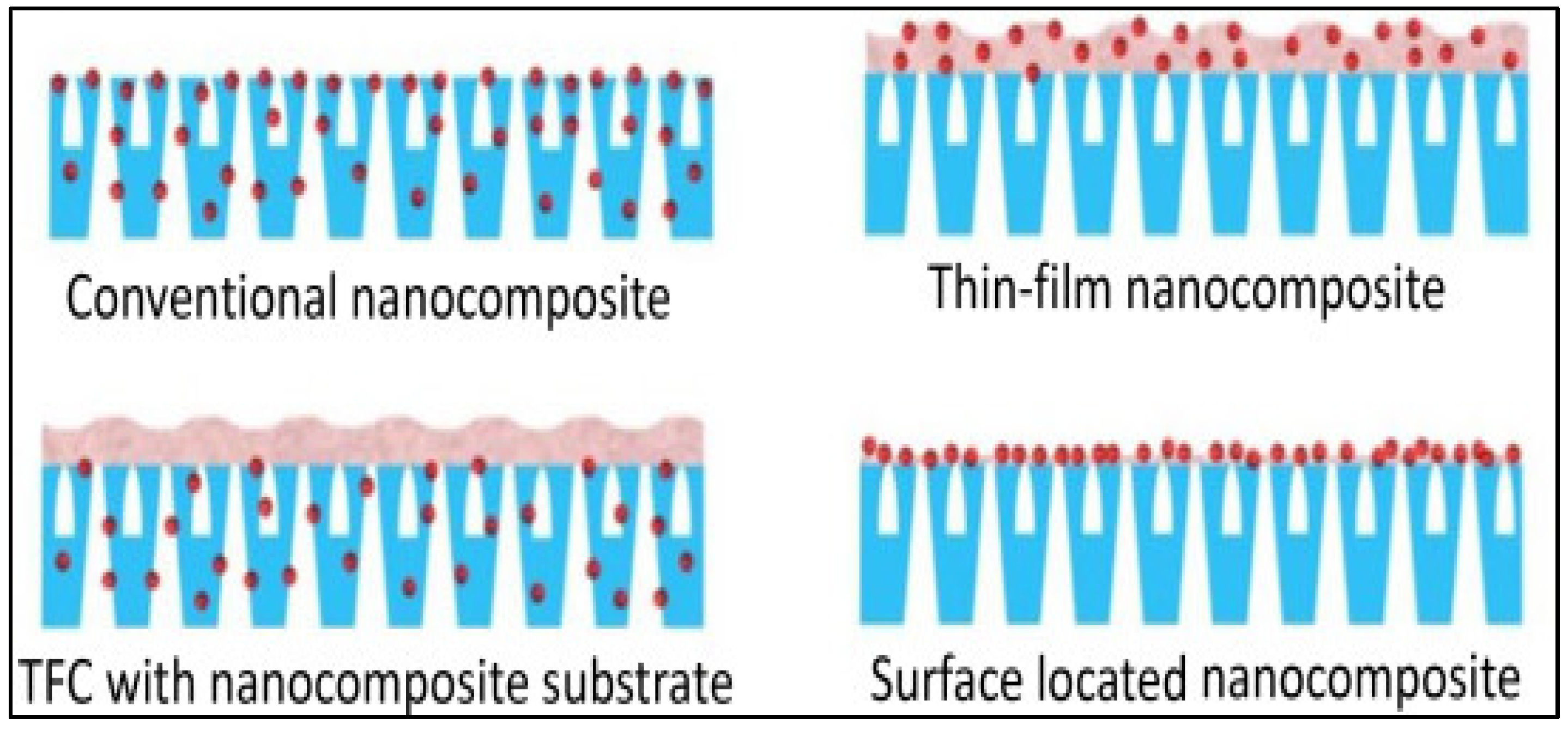 Catalysts 15 00528 g003