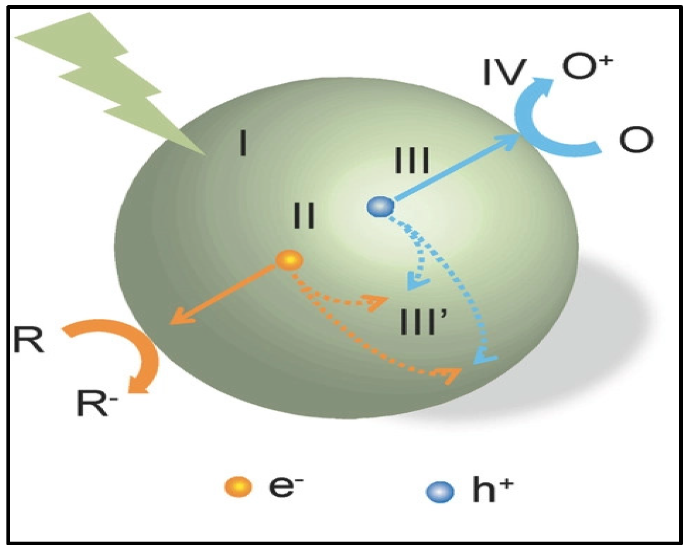 Catalysts 15 00528 g004
