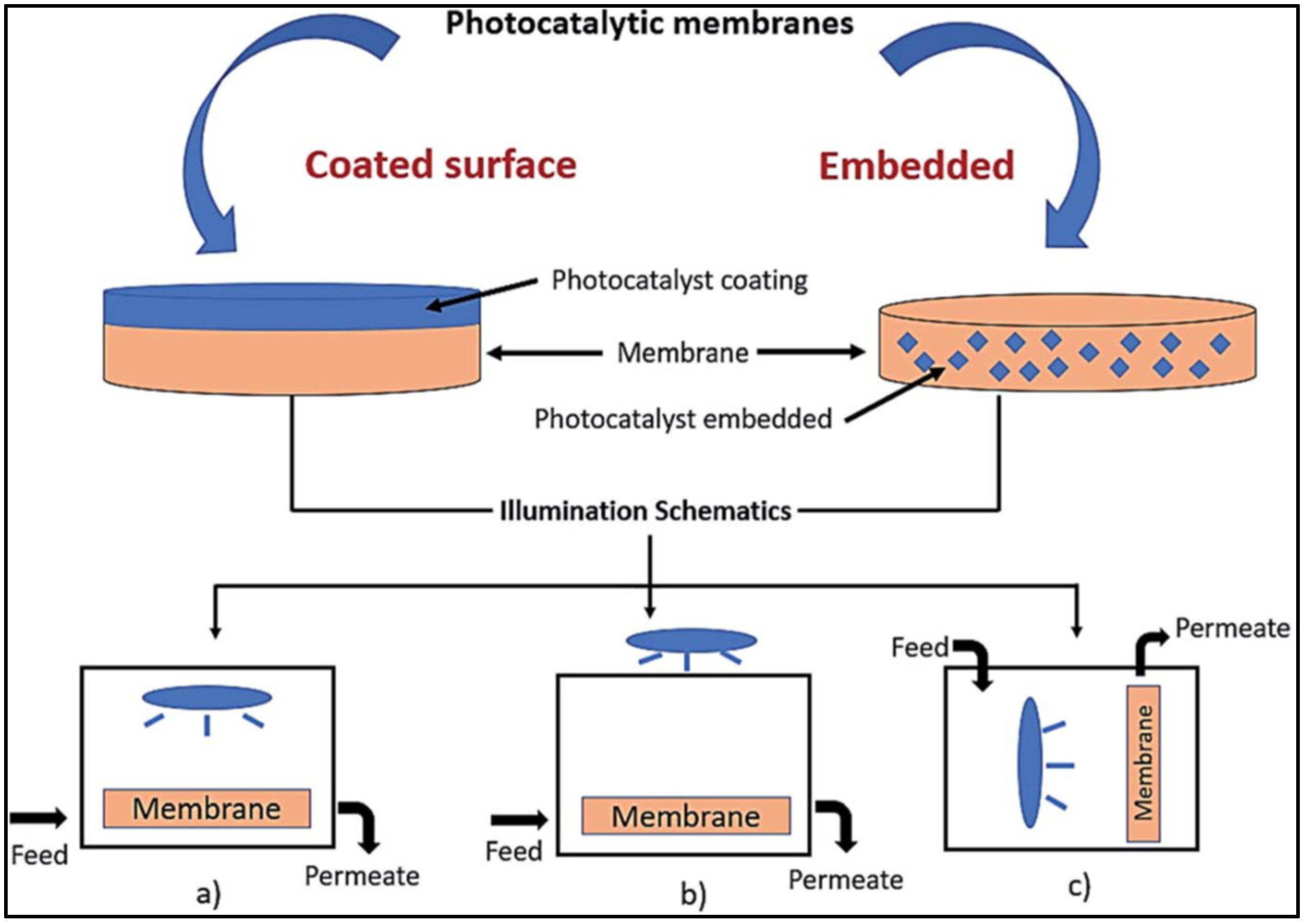 Catalysts 15 00528 g007
