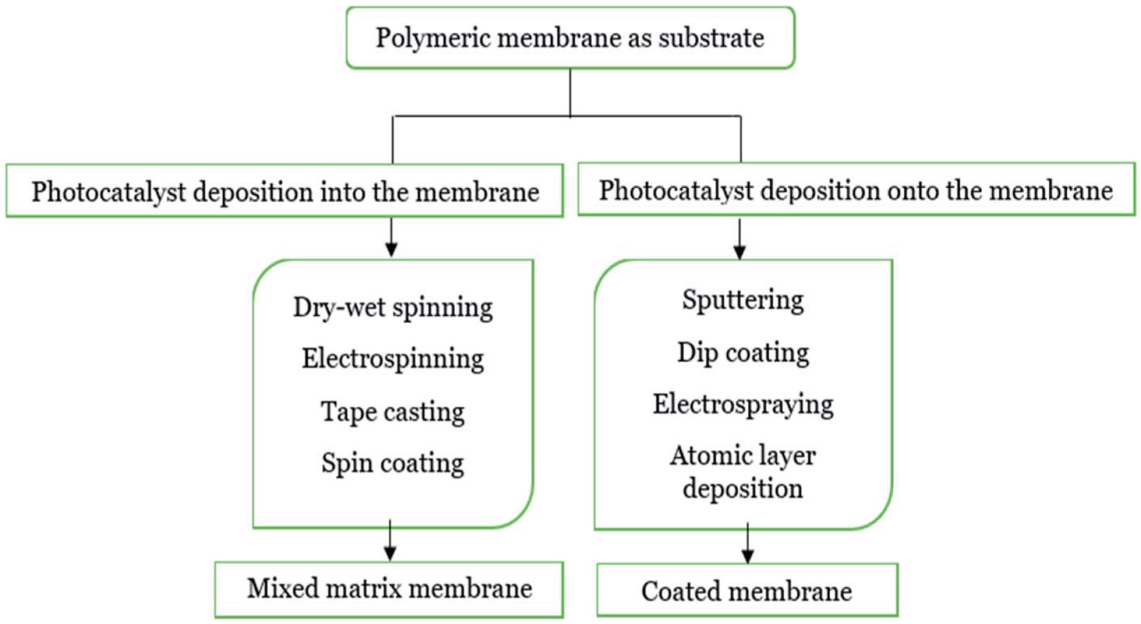 Catalysts 15 00528 g008