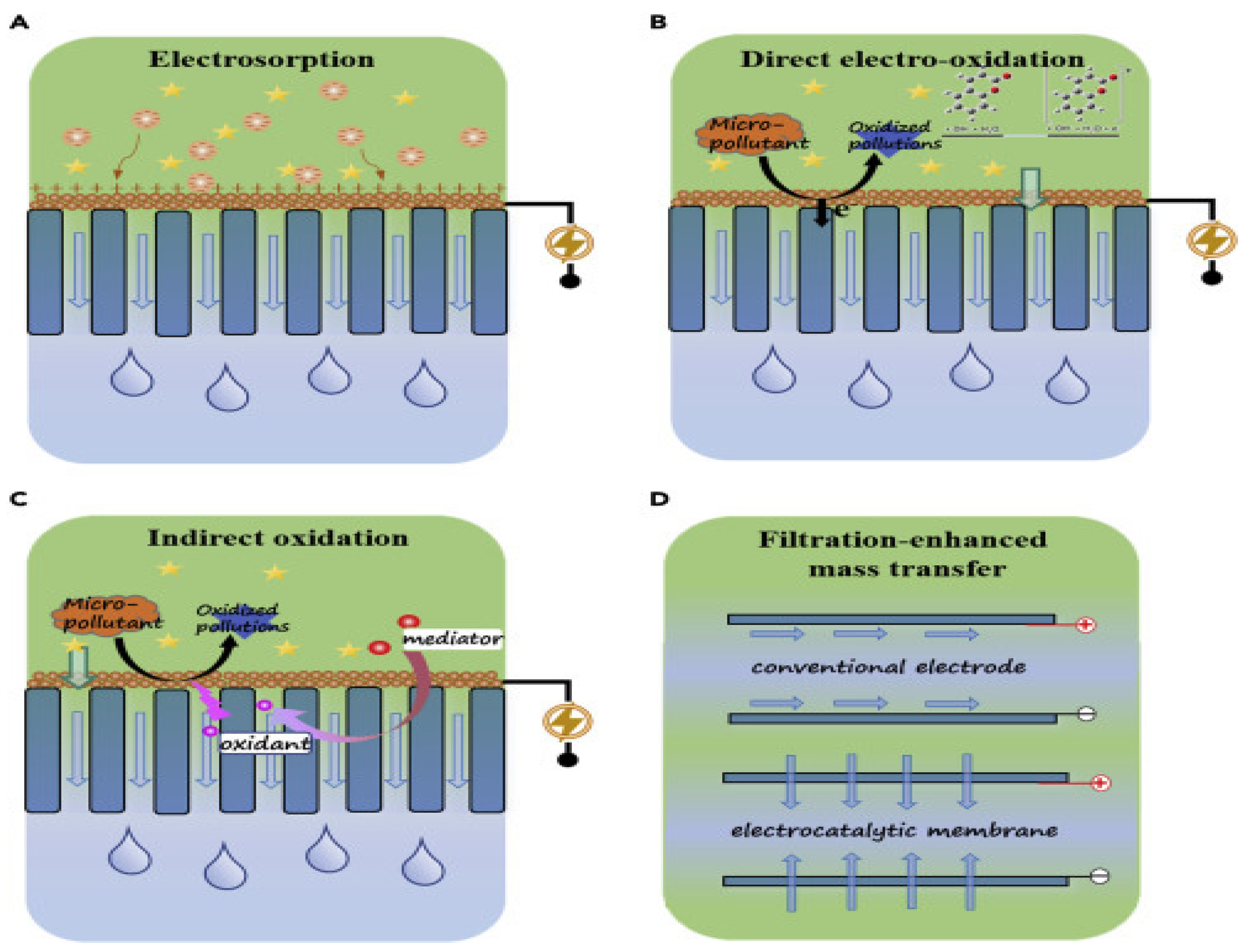 Catalysts 15 00528 g009