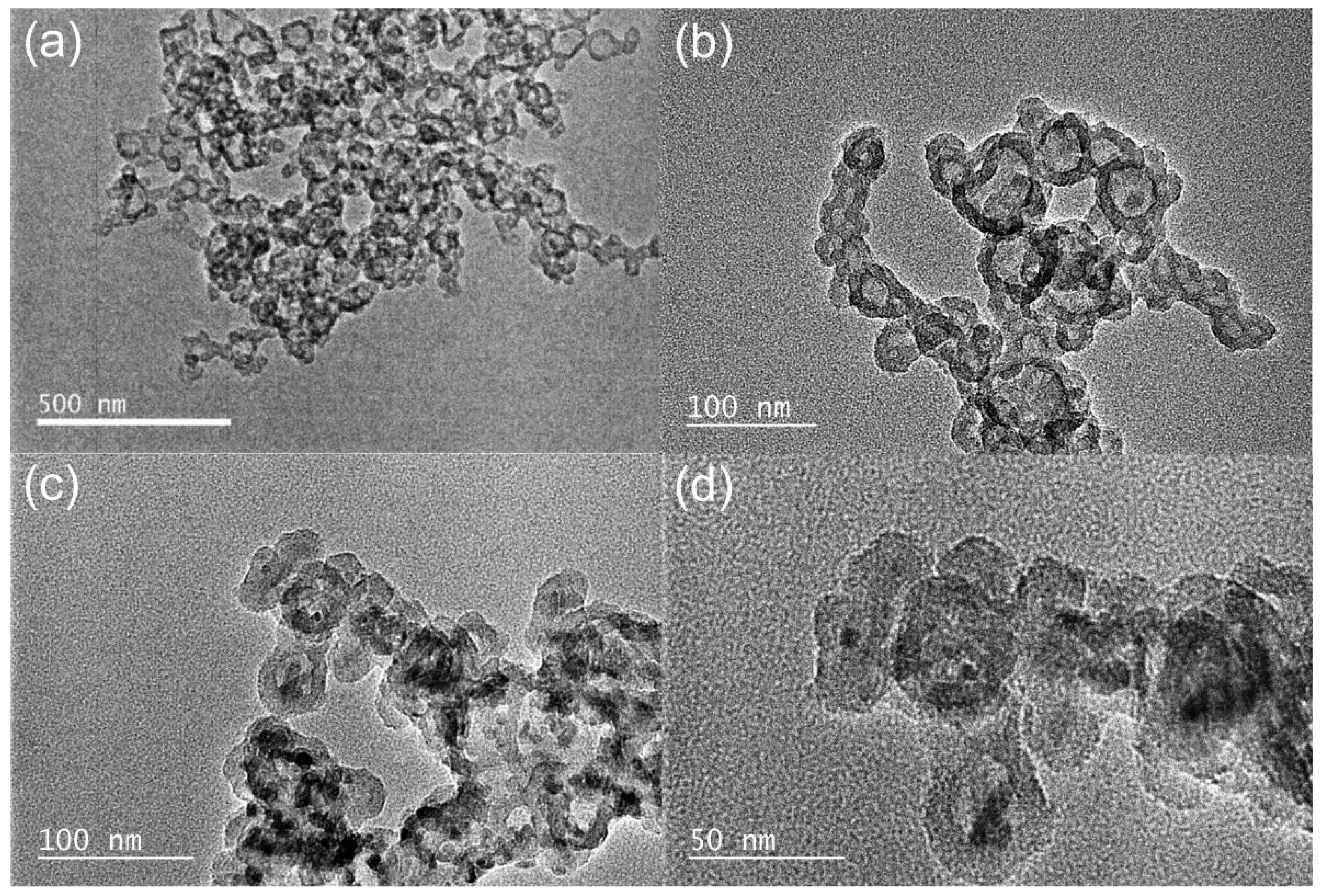 Catalysts 15 00529 g001