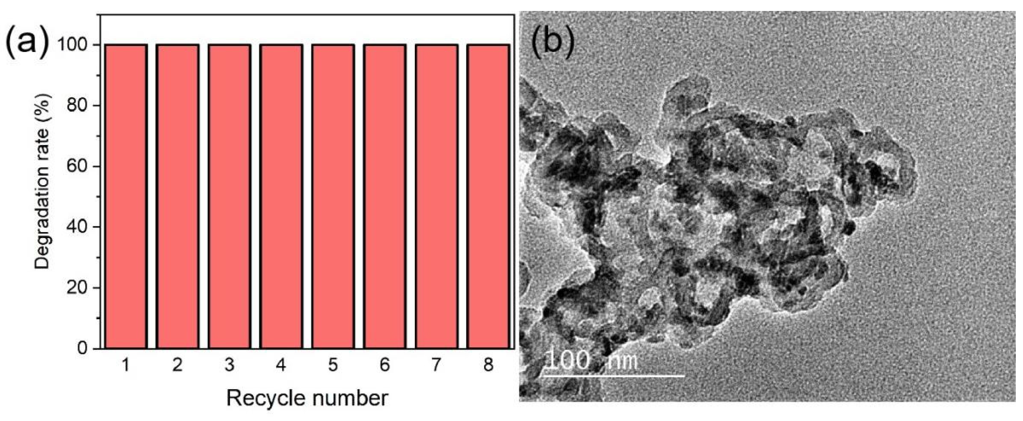 Catalysts 15 00529 g006