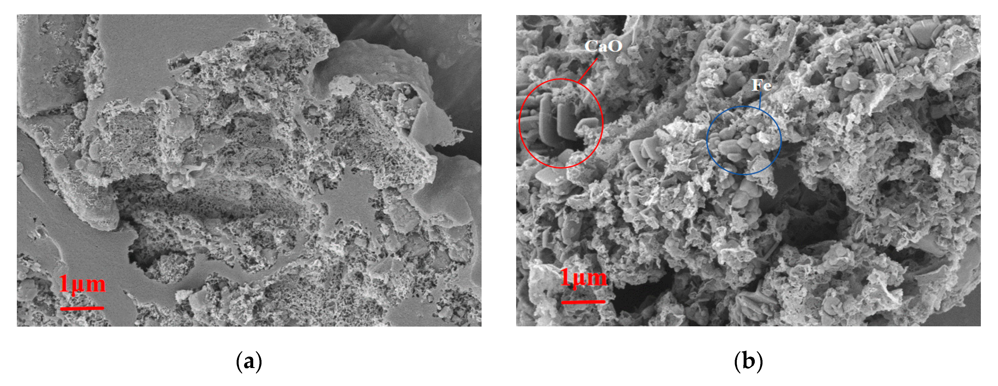 Catalysts 15 00531 g005a