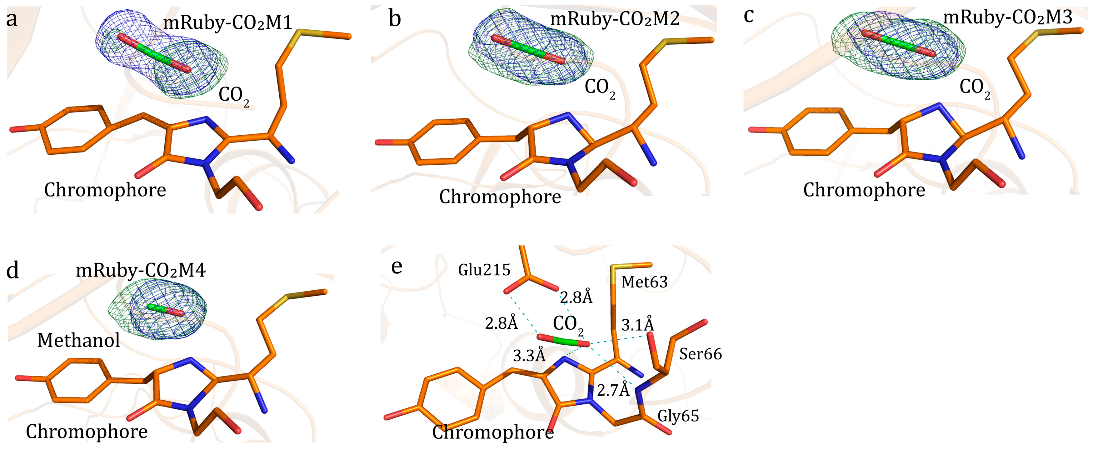Catalysts 15 00535 g002