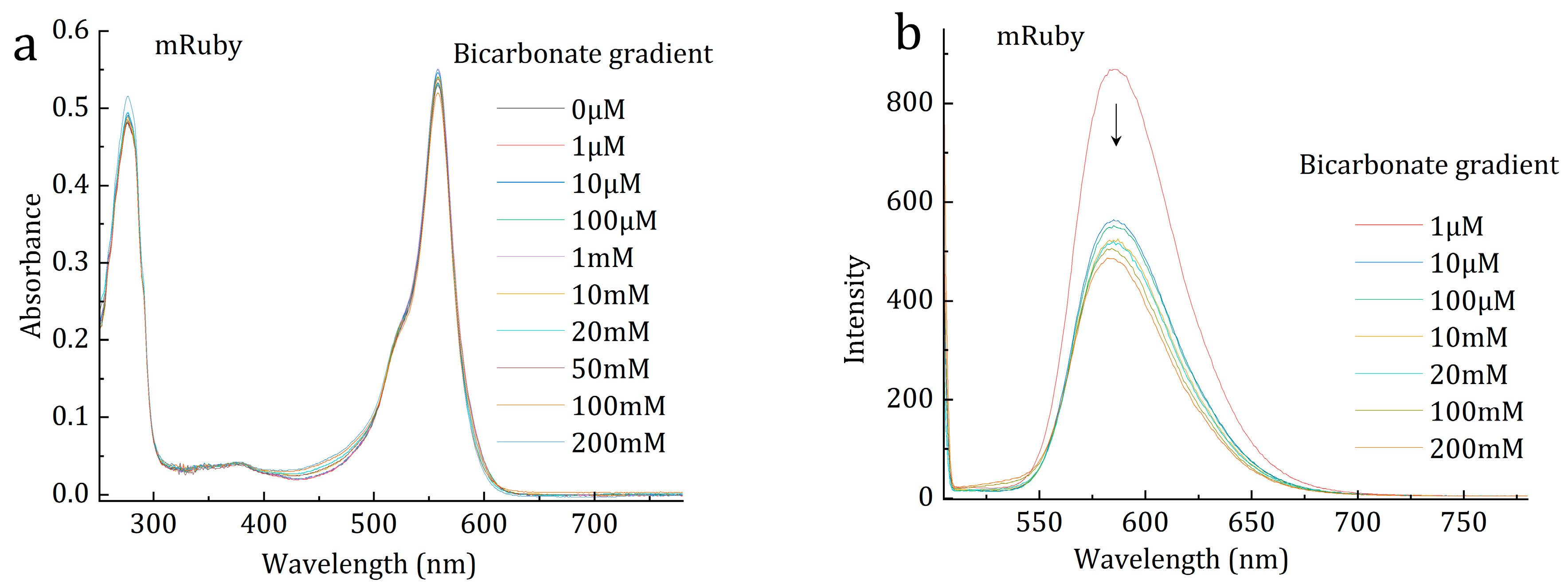 Catalysts 15 00535 g003