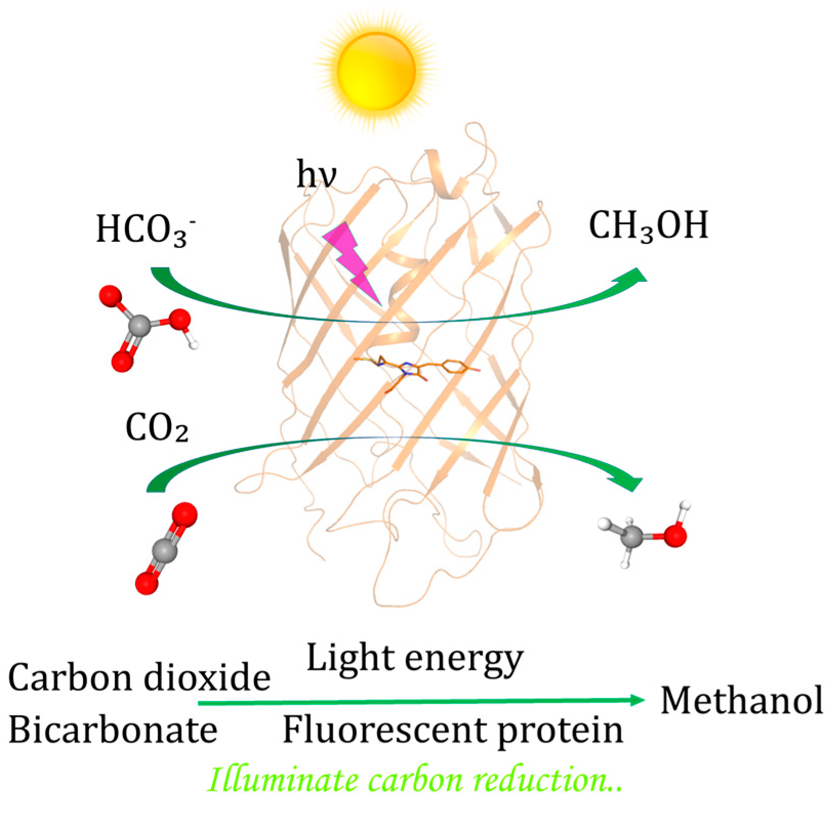 Catalysts 15 00535 g004