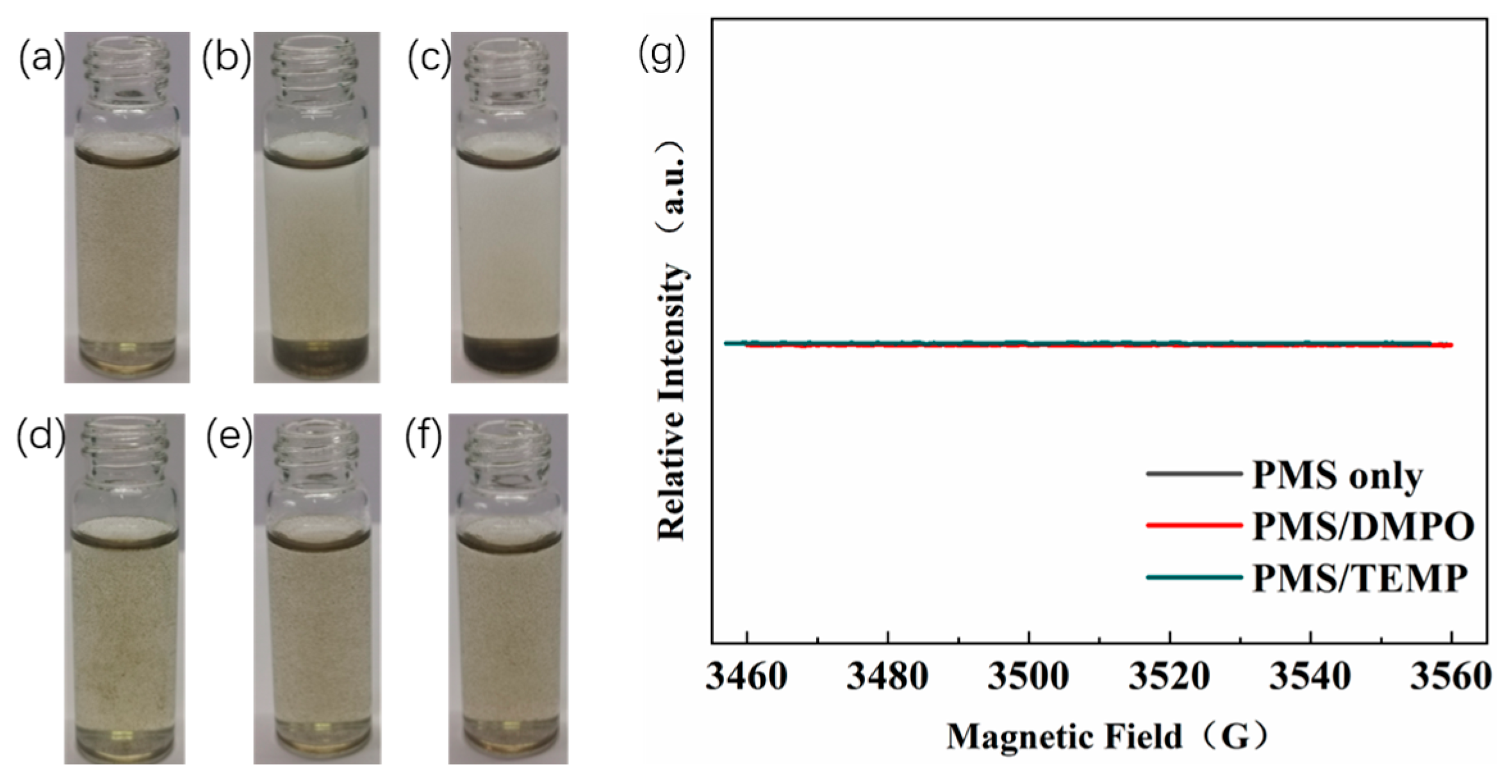 Catalysts 15 00541 g012