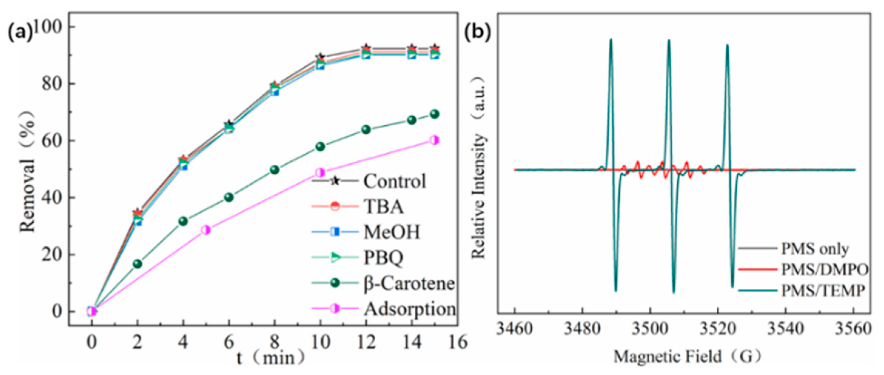 Catalysts 15 00541 g013