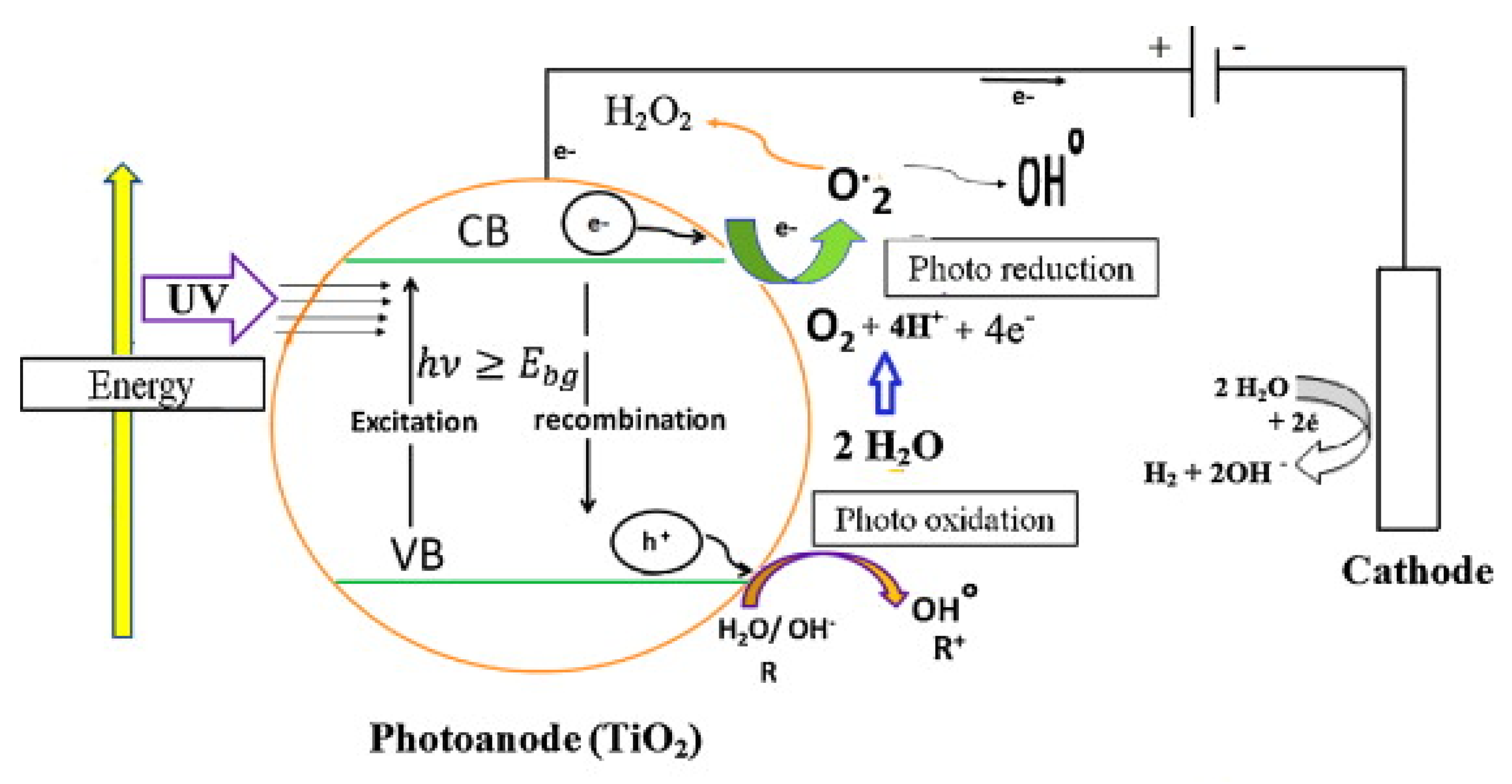 Catalysts 15 00542 g002