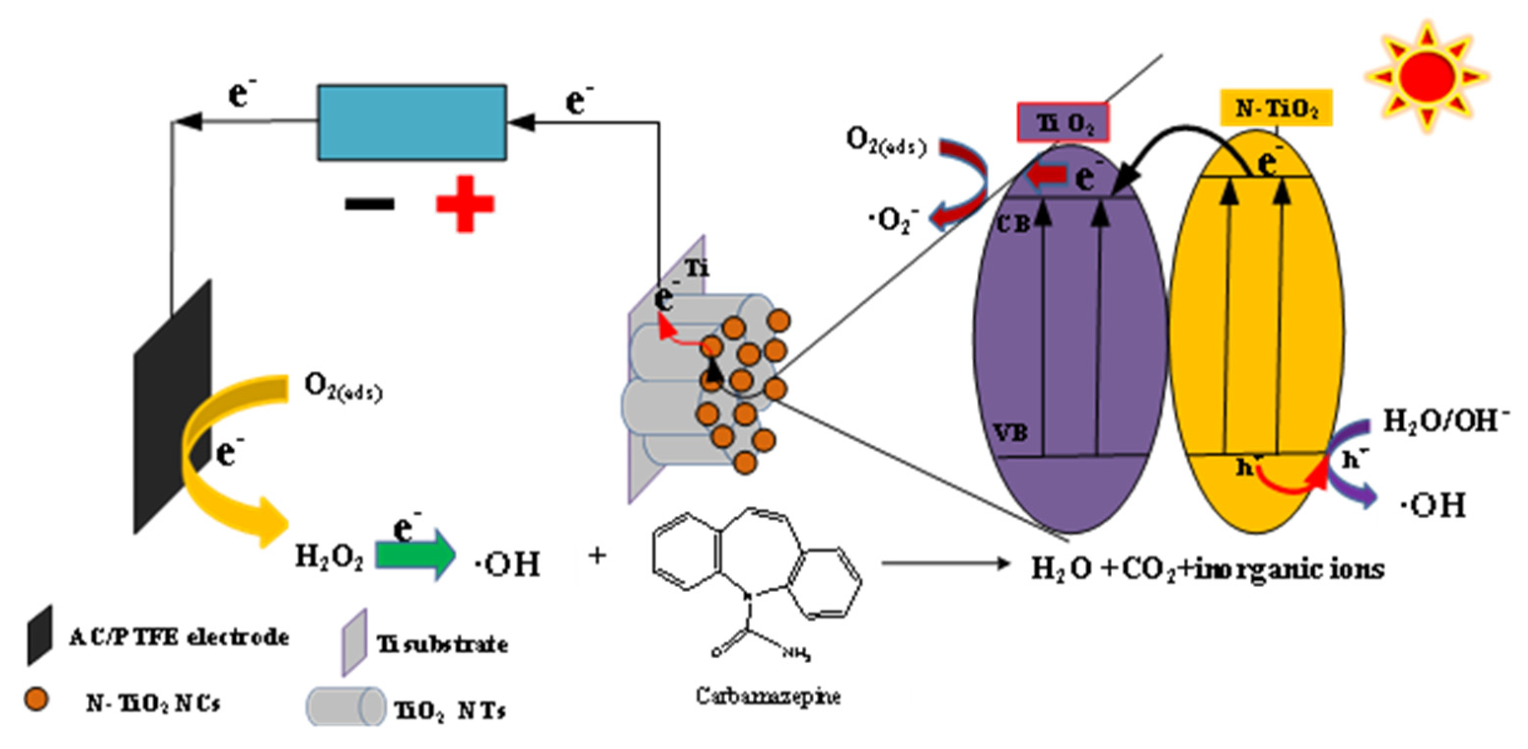 Catalysts 15 00542 g004