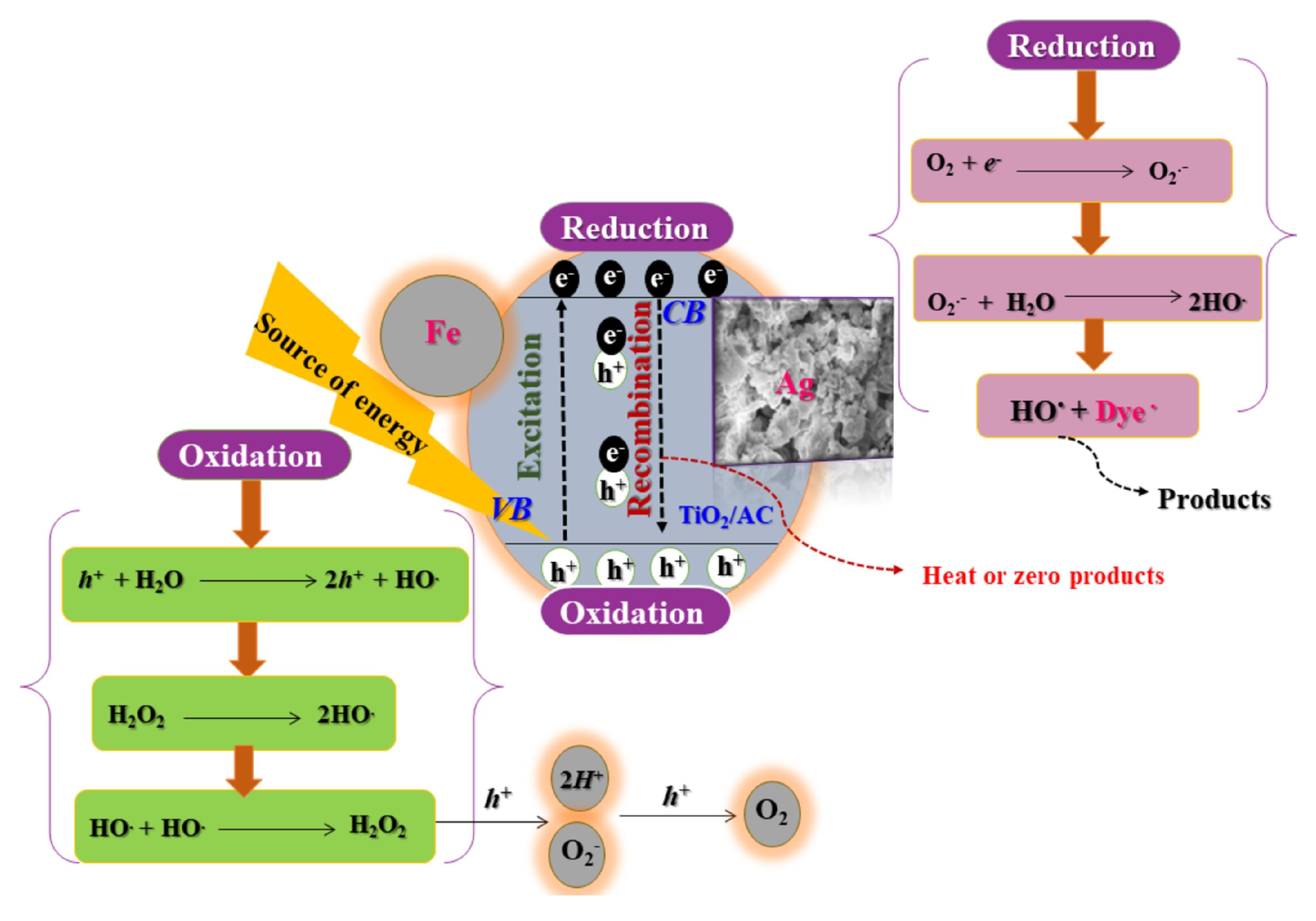 Catalysts 15 00542 g005