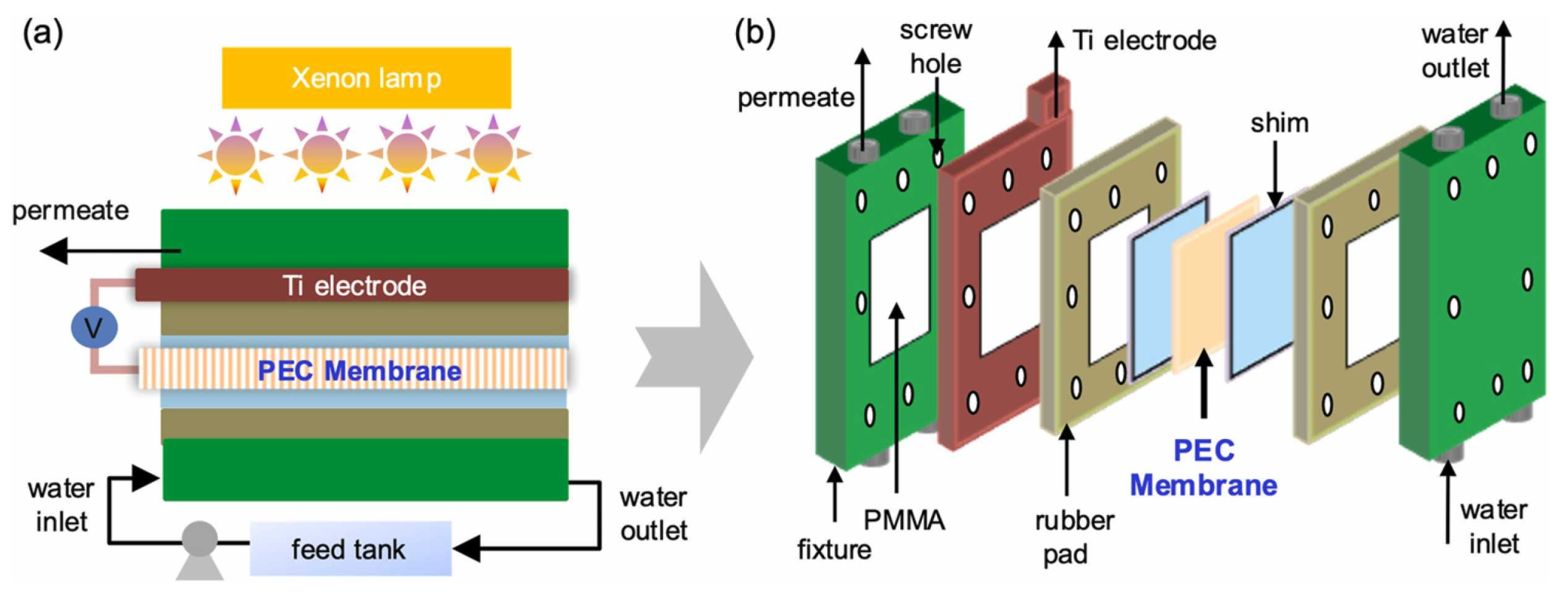 Catalysts 15 00542 g008
