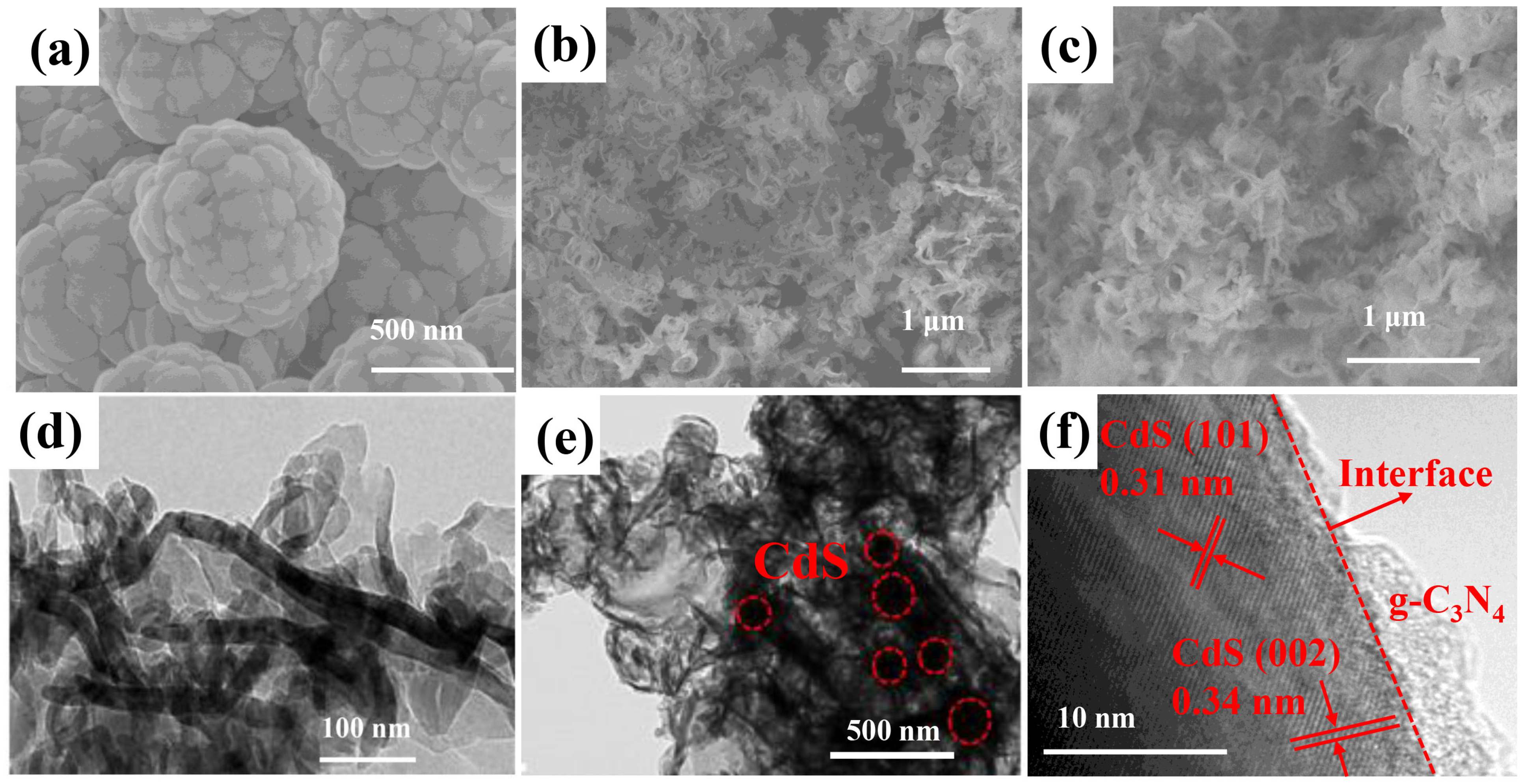 Catalysts 15 00543 g002