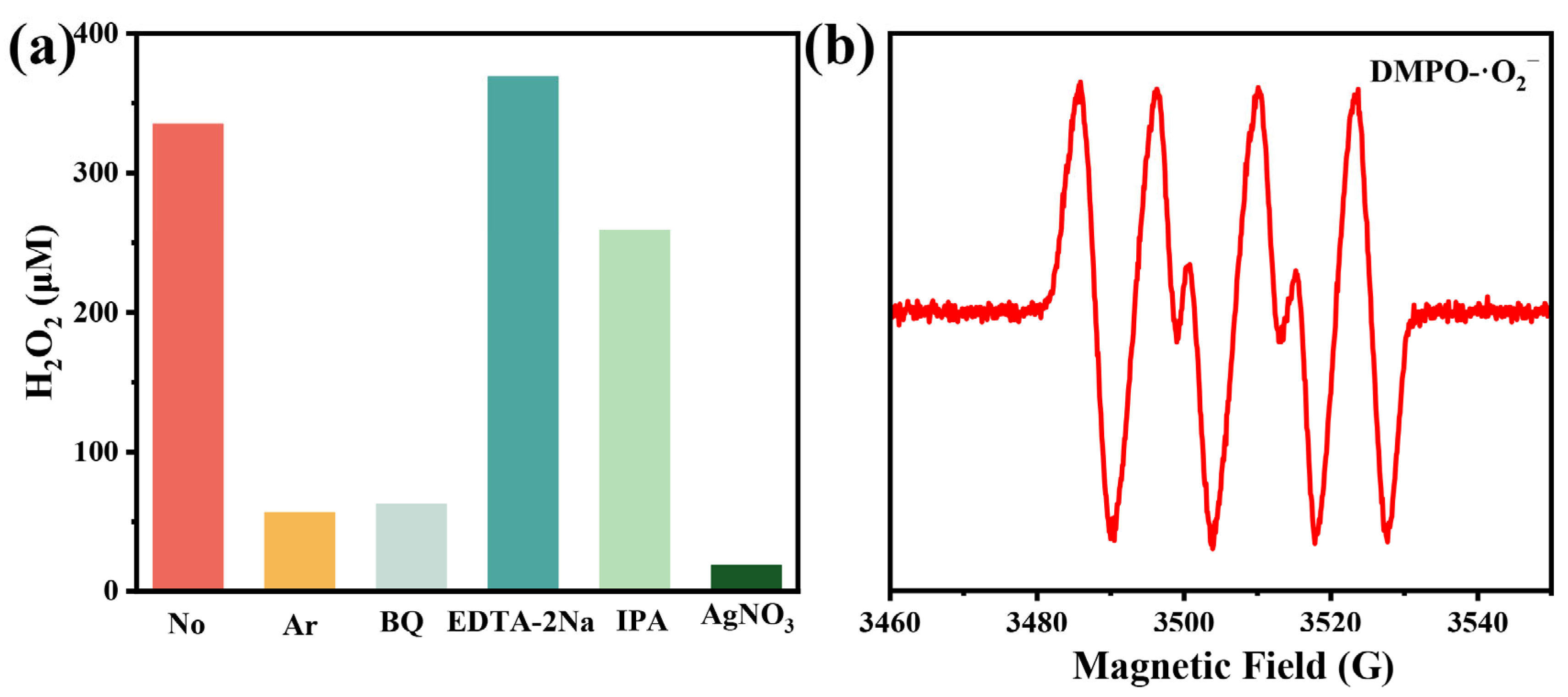 Catalysts 15 00543 g007
