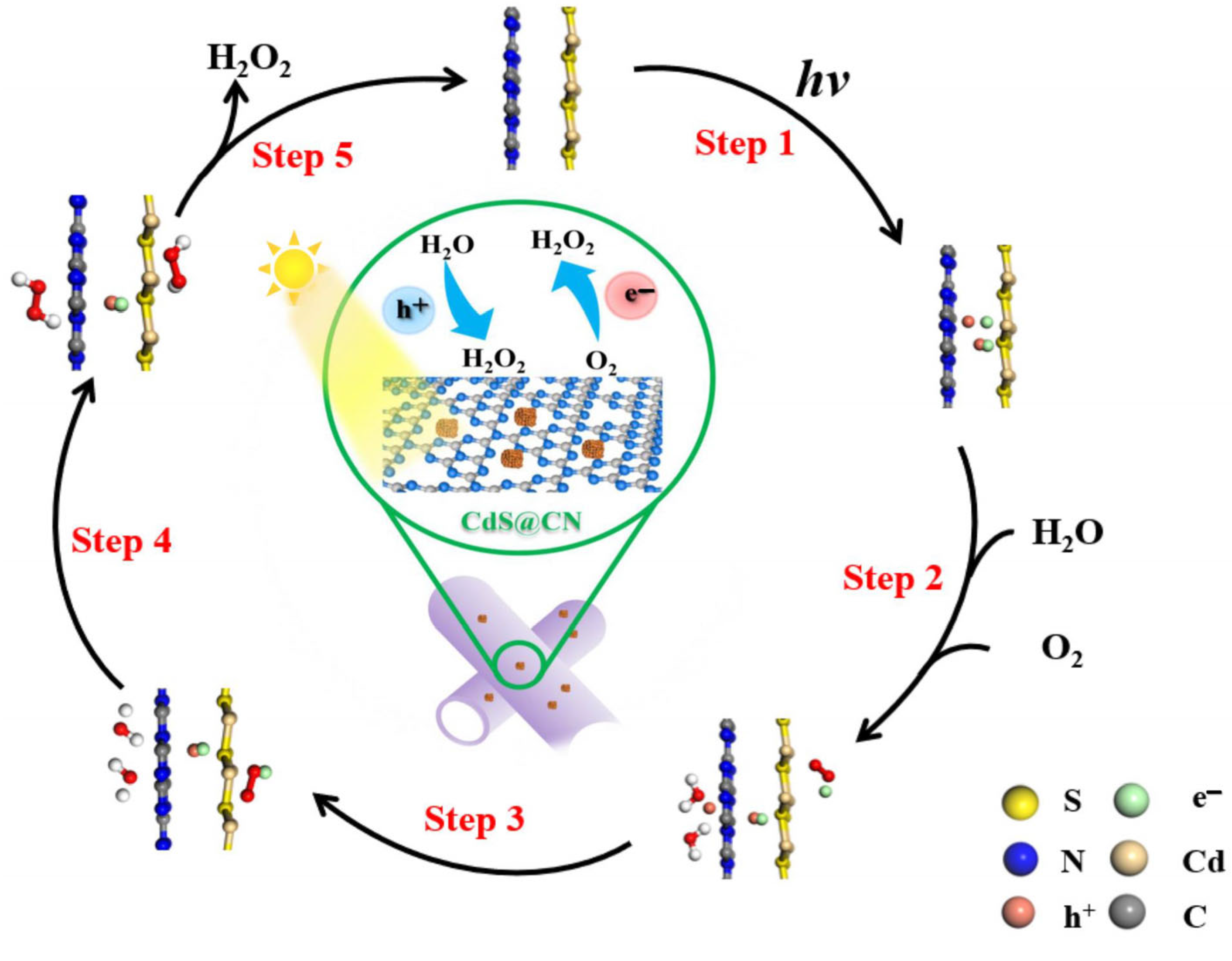 Catalysts 15 00543 g009