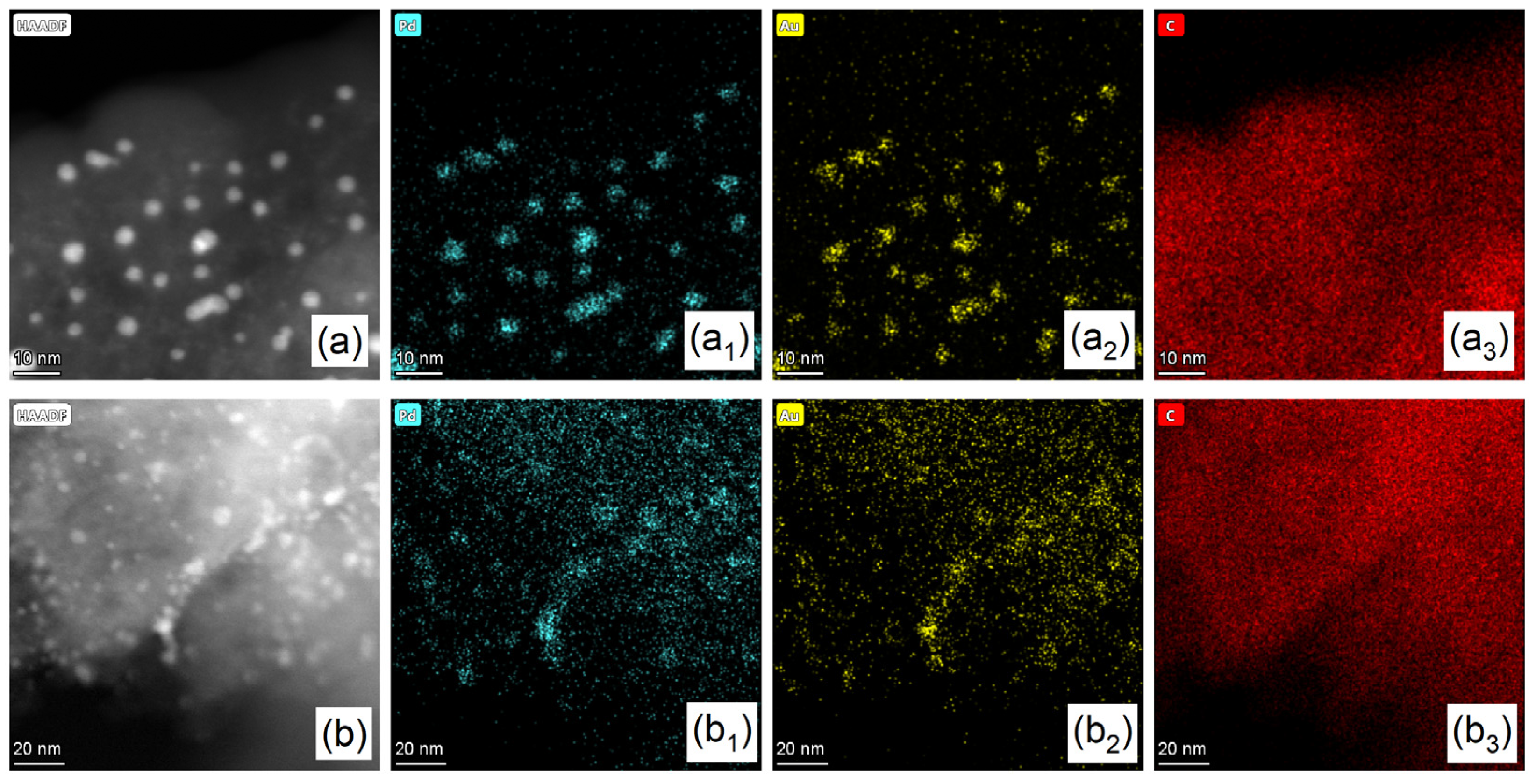 Catalysts 15 00544 g002