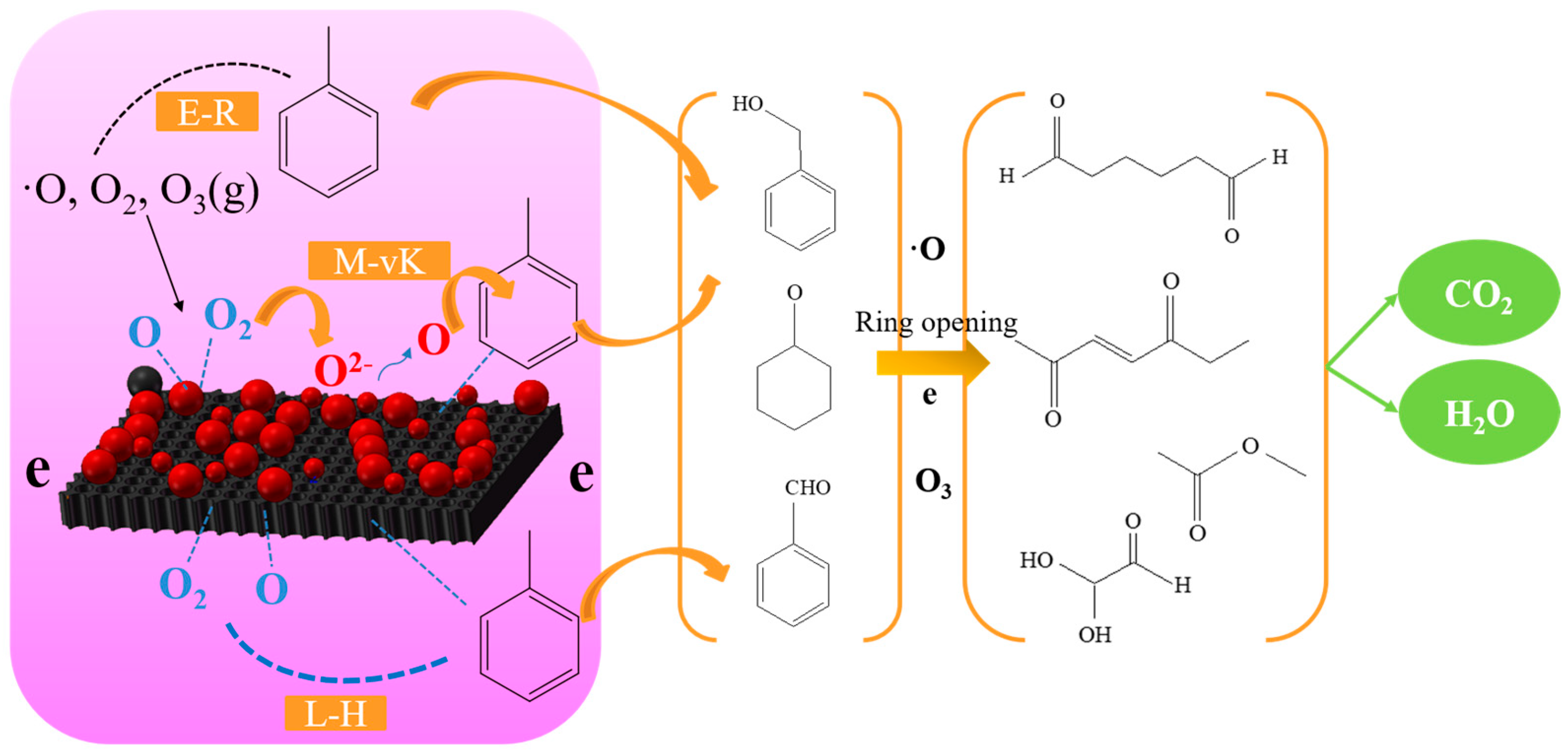 Catalysts 15 00545 g008
